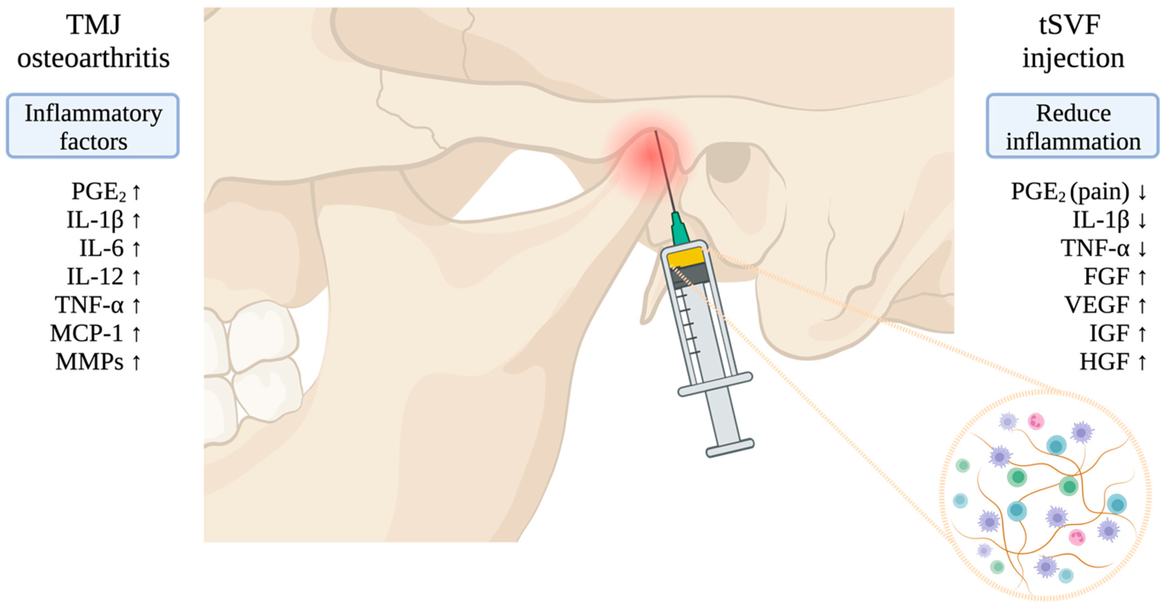 Bioengineering 11 00171 g001