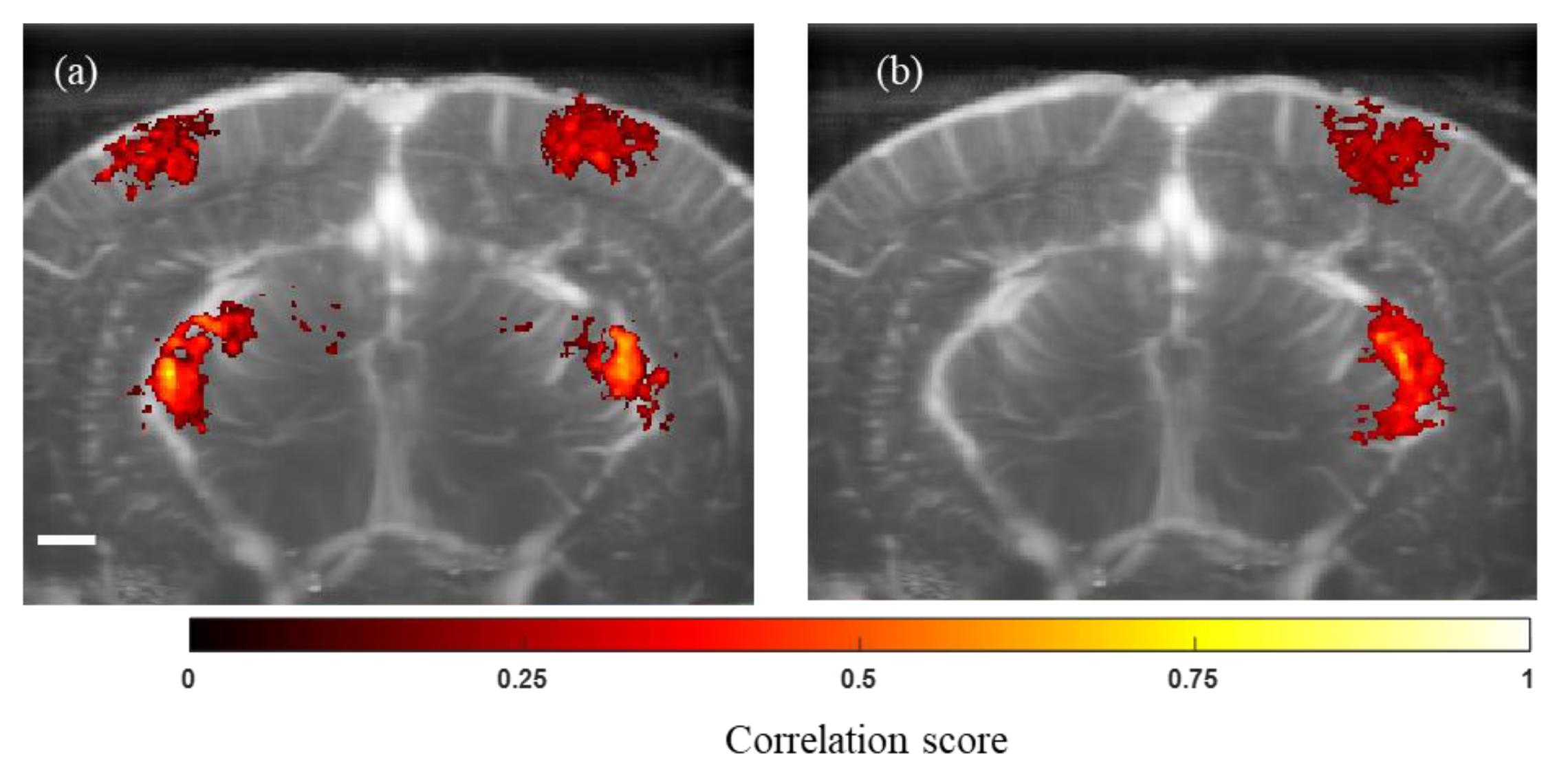 Bioengineering 11 00174 g004