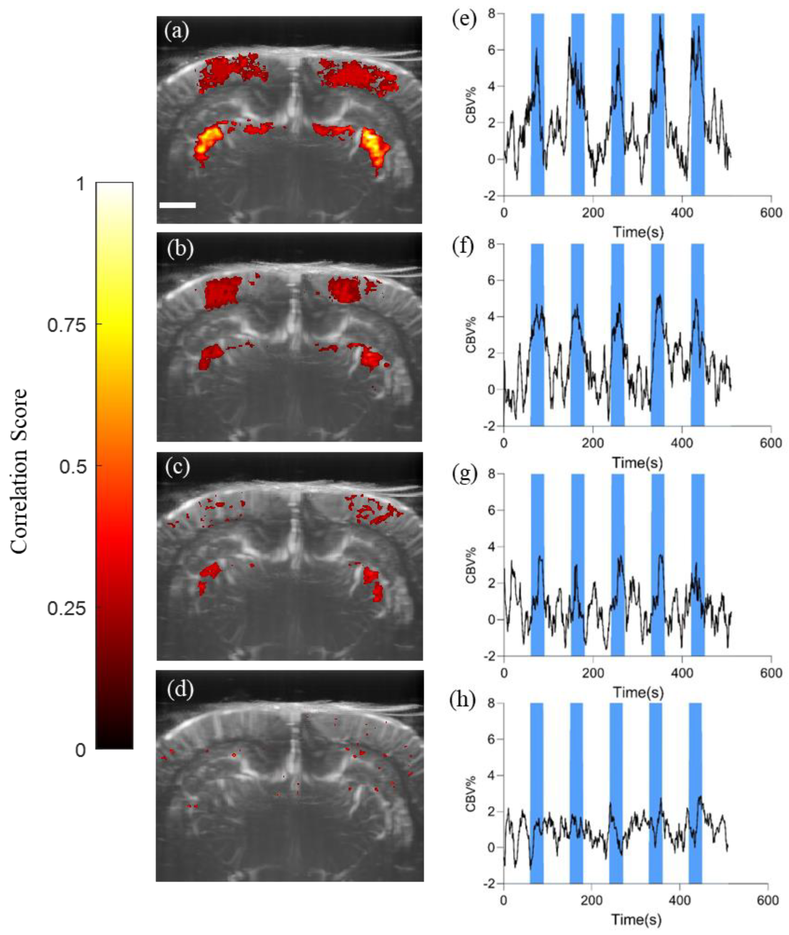Bioengineering 11 00174 g005