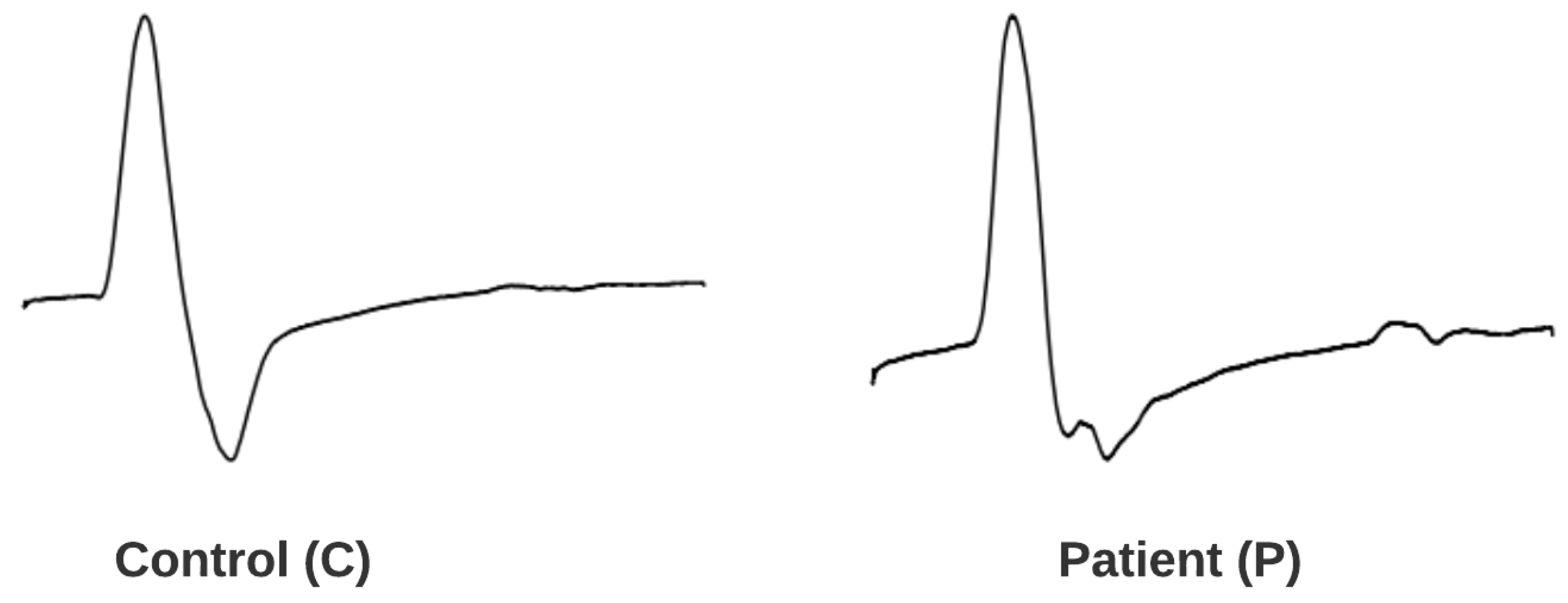 Bioengineering 11 00175 g002