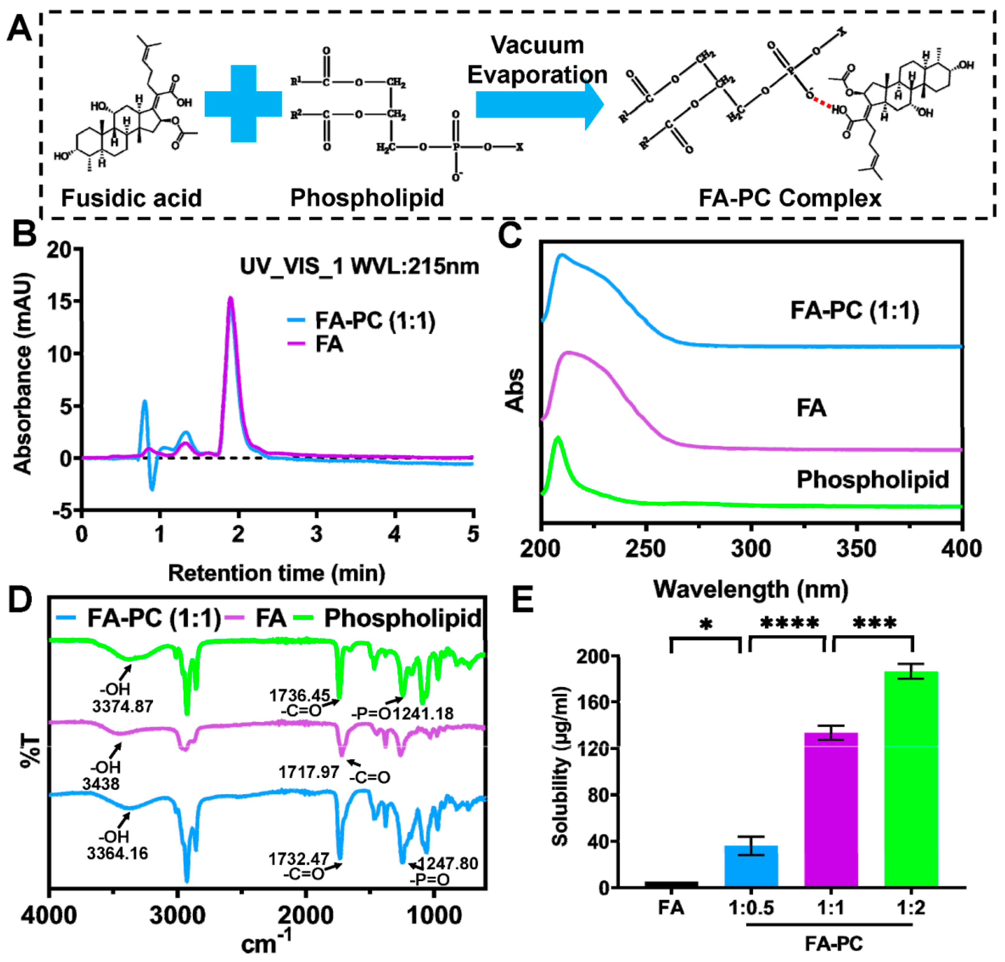 Bioengineering 11 00177 g001