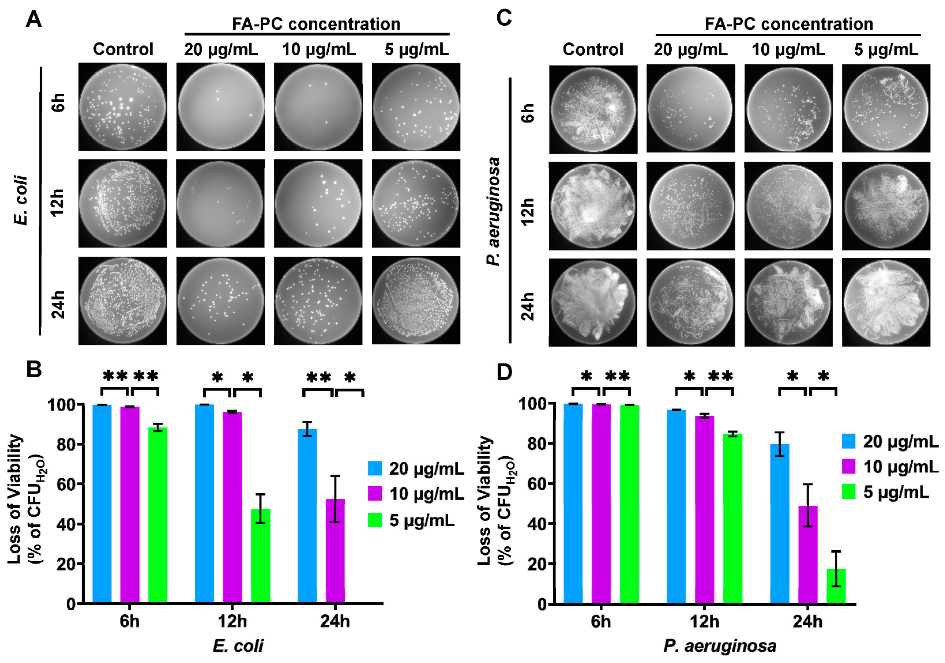 Bioengineering 11 00177 g003