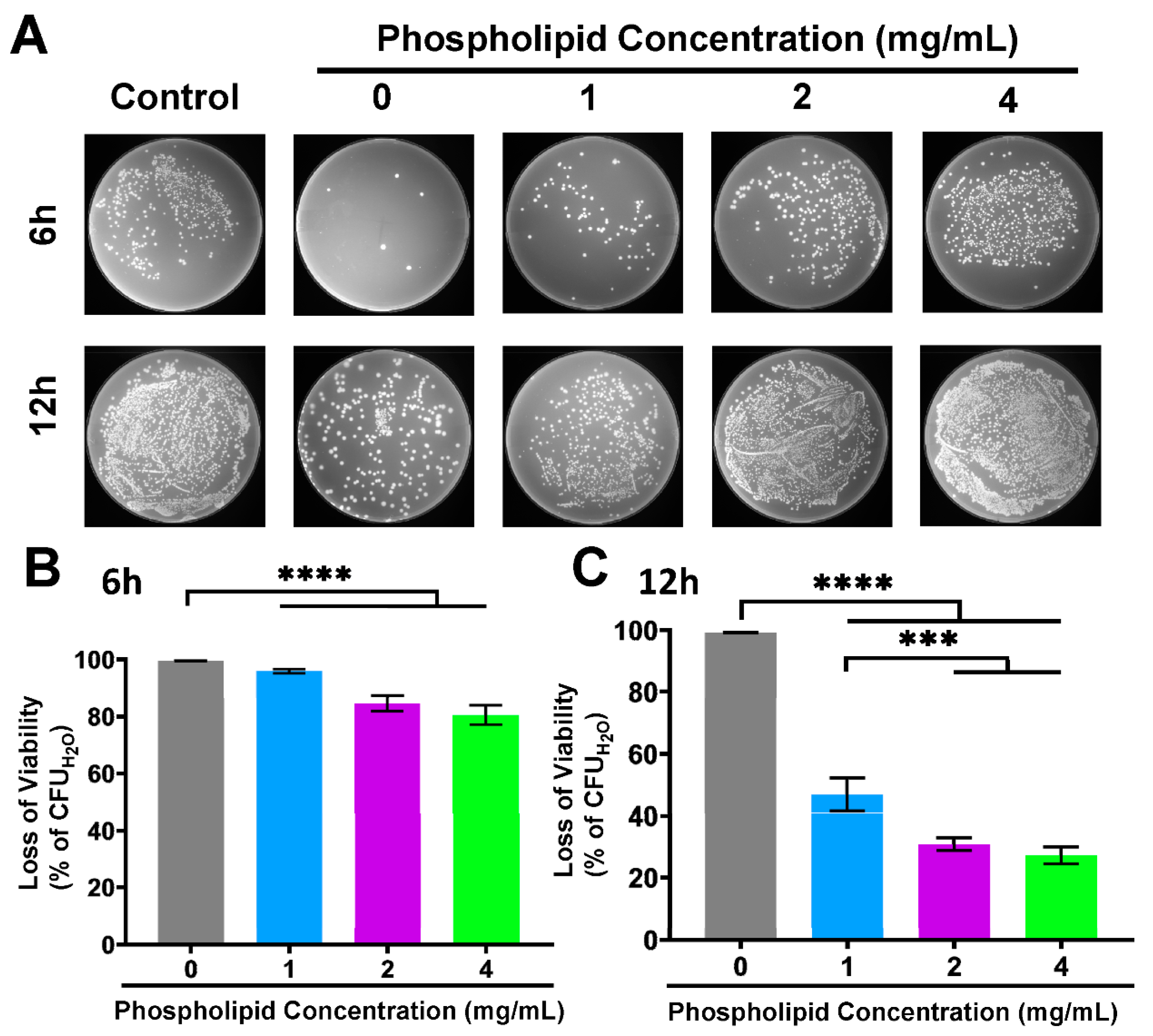 Bioengineering 11 00177 g006