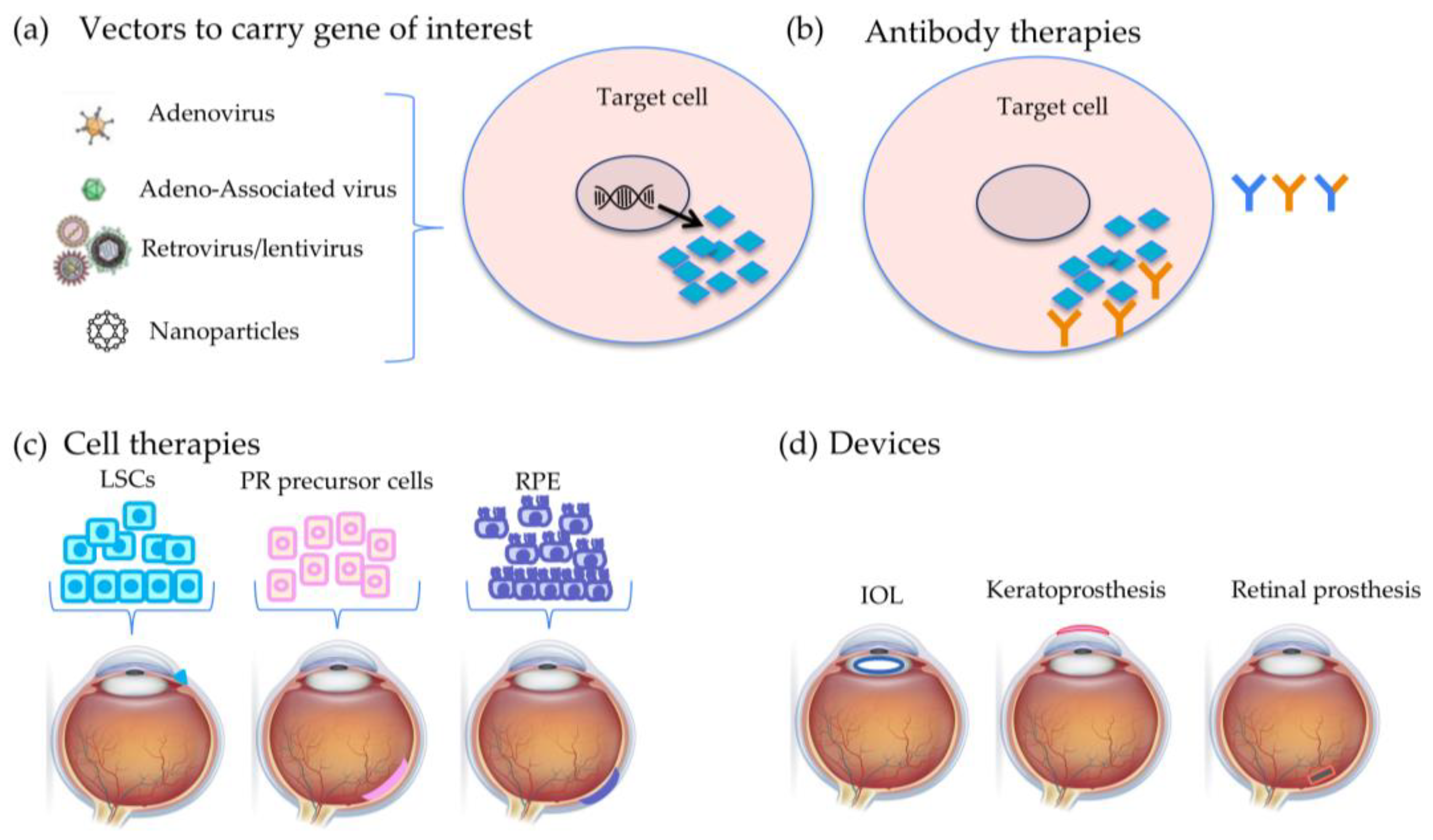 Seeing the Future: A Review of Ocular Therapy