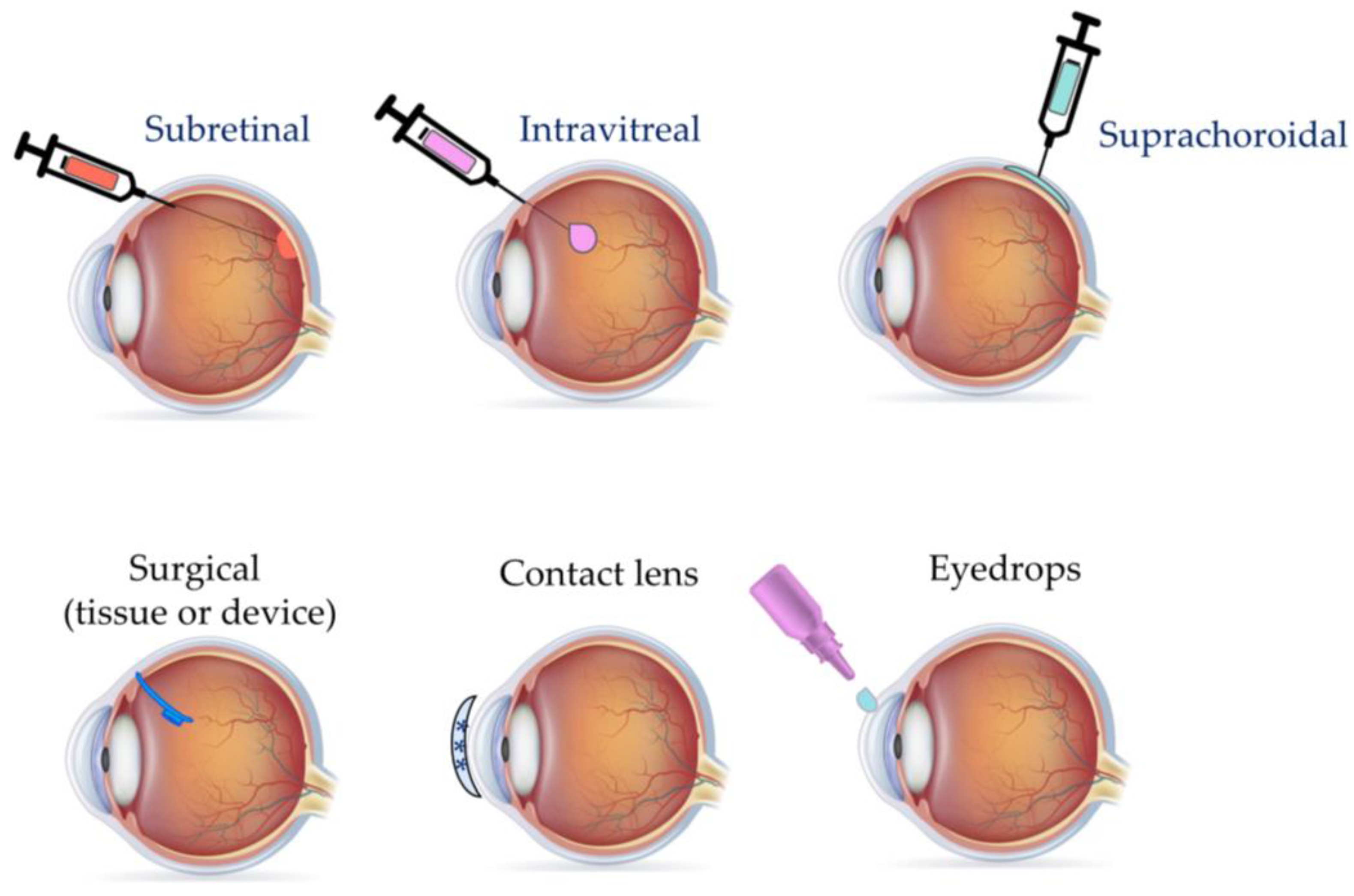 Bioengineering 11 00179 g002