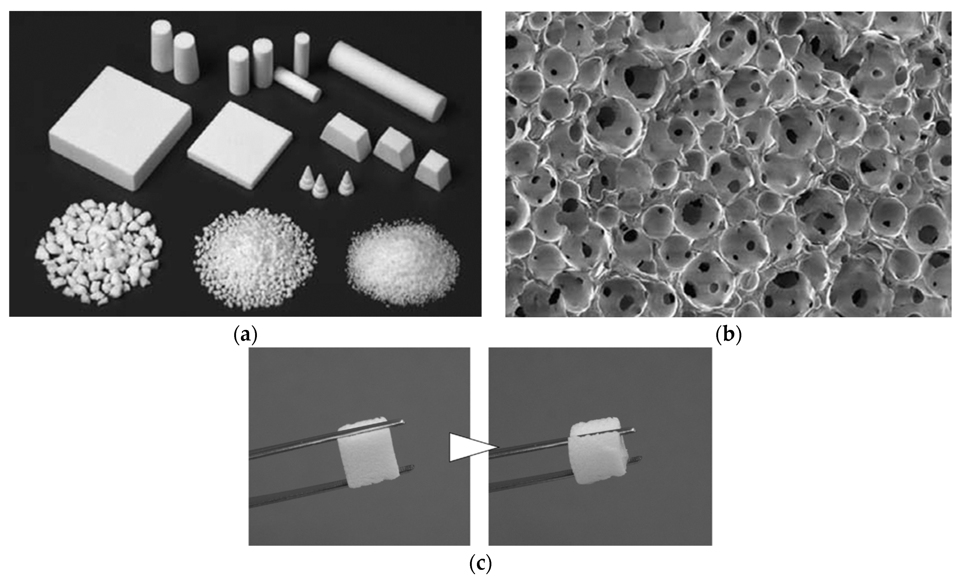 Bioengineering 11 00180 g001 Bioengineering 11 00180 g001