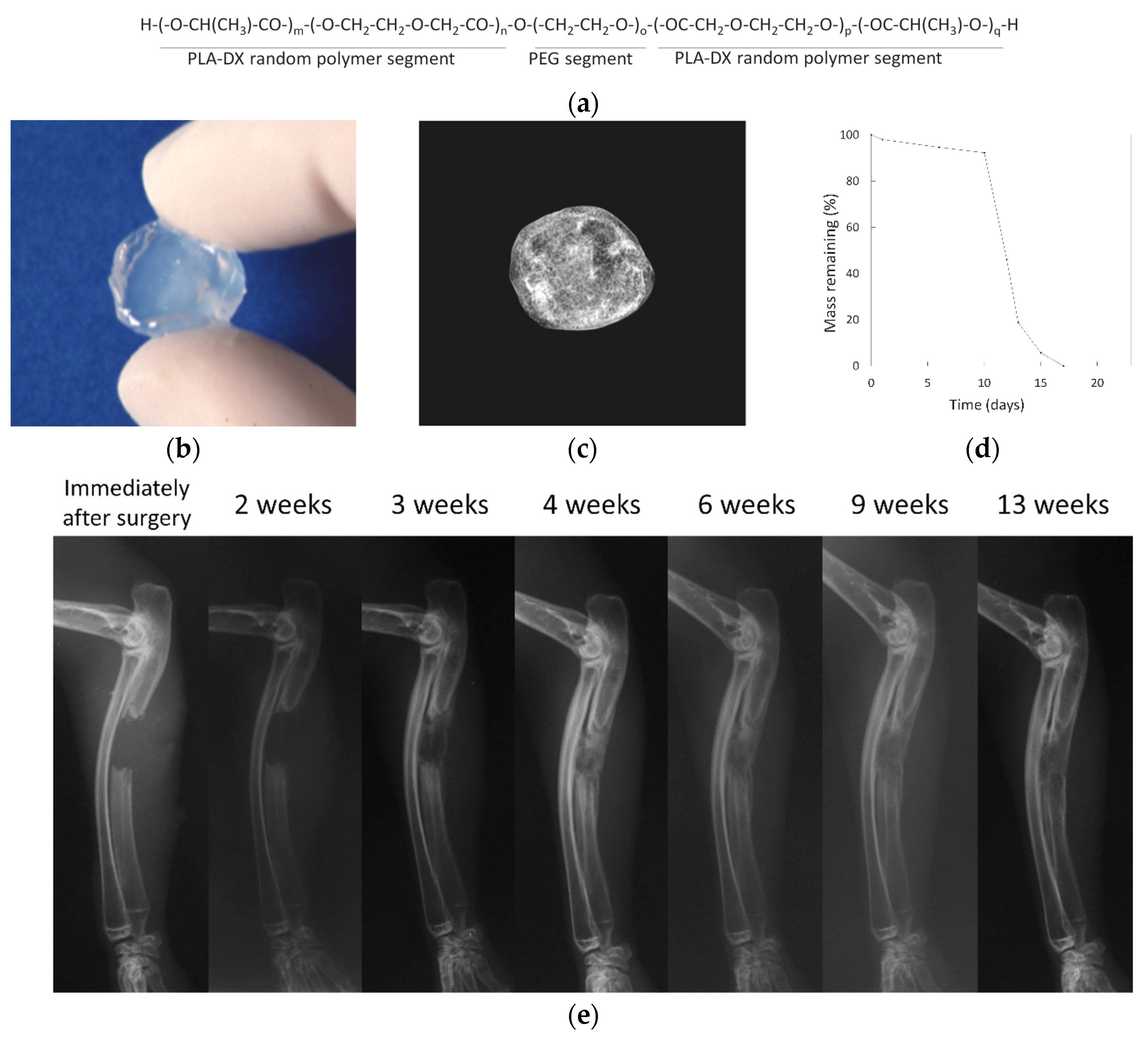Bioengineering 11 00180 g005 Bioengineering 11 00180 g005