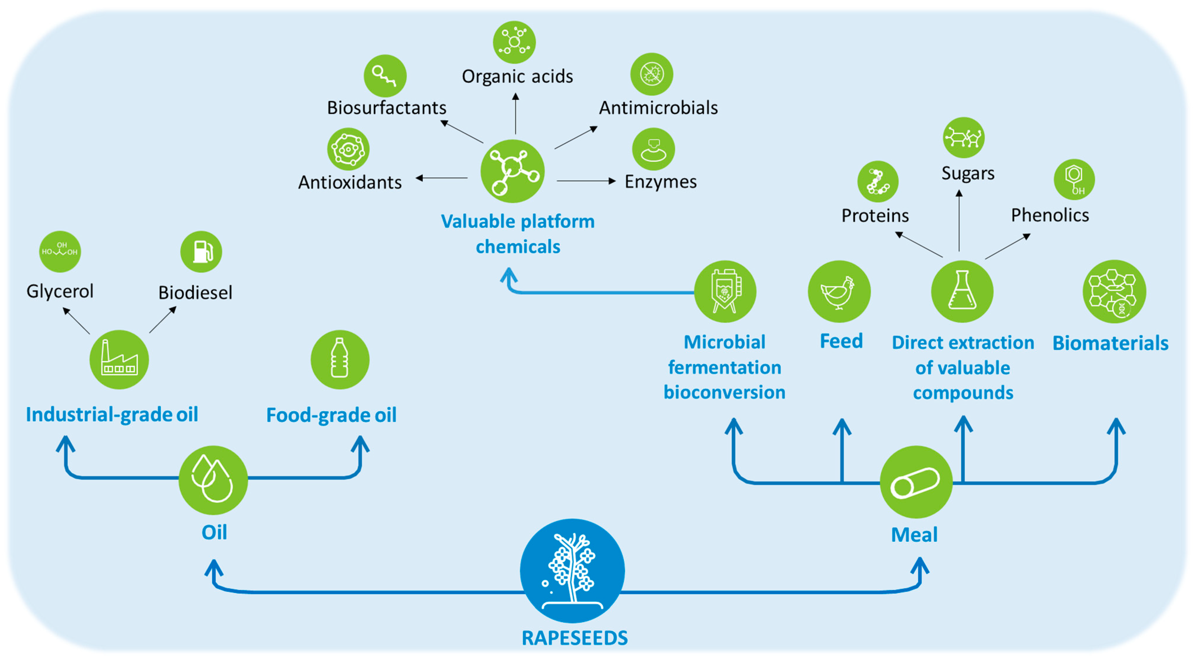 Bioengineering 11 00181 g001