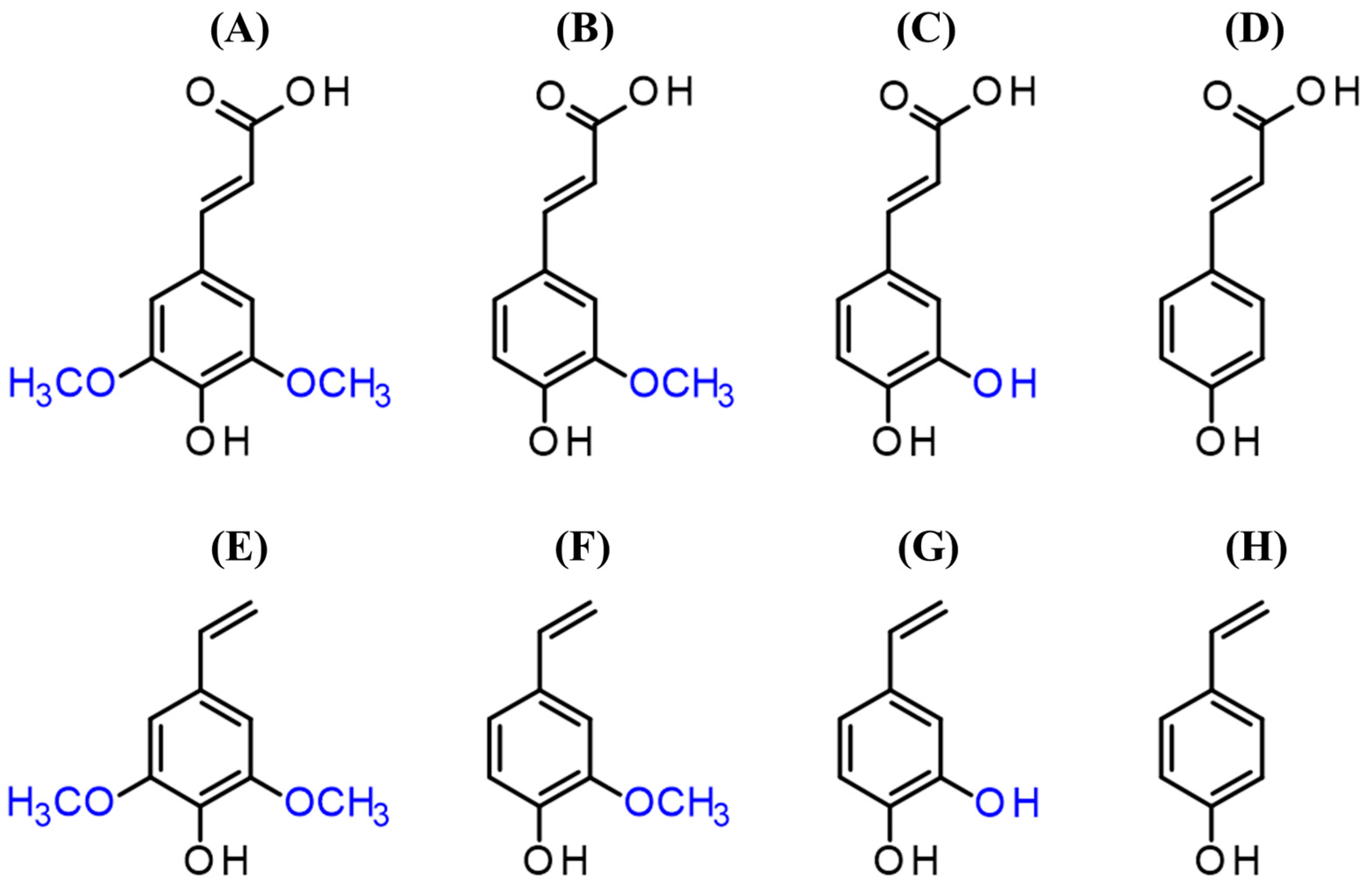 Bioengineering 11 00181 g002