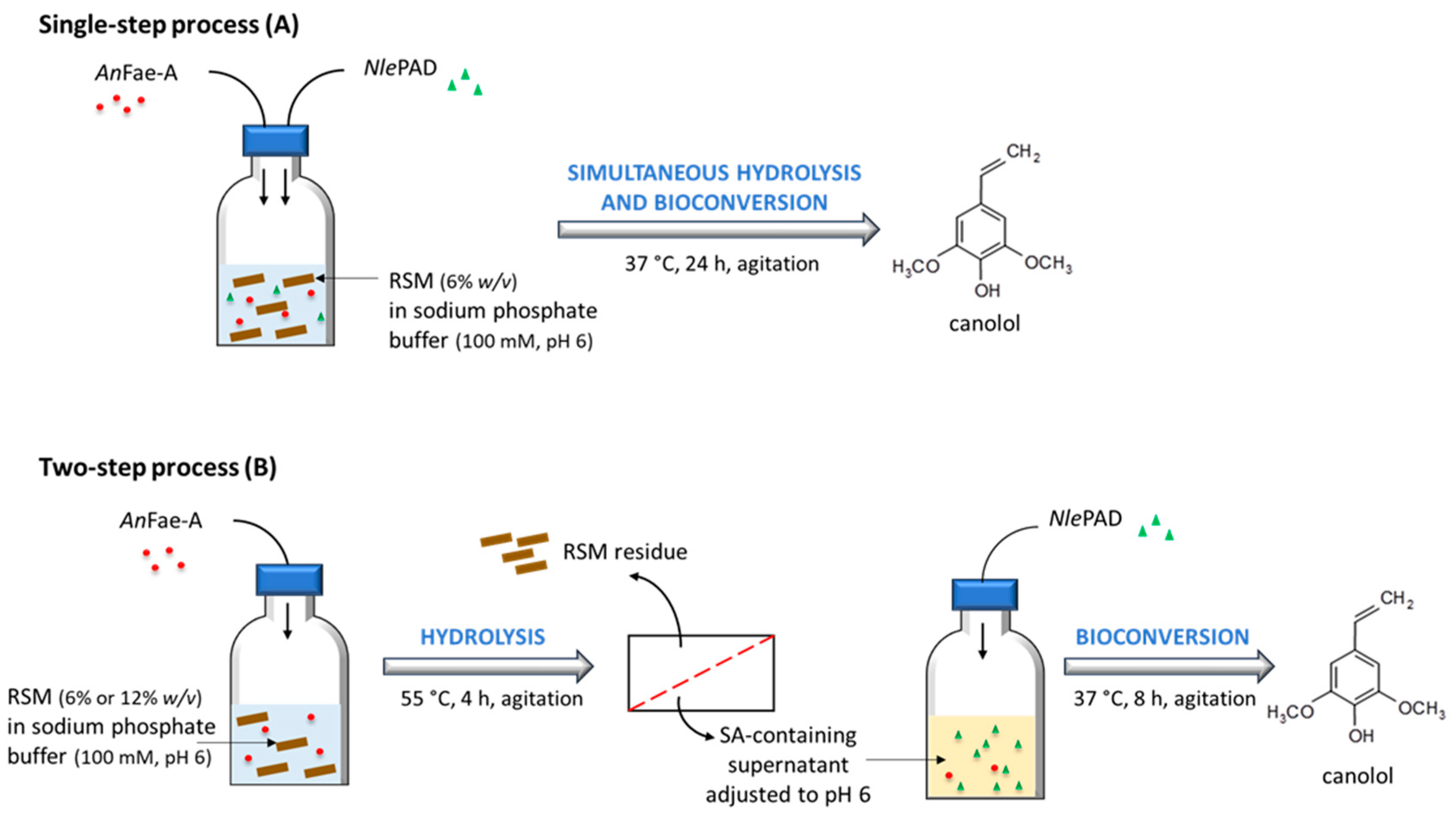 Bioengineering 11 00181 g004
