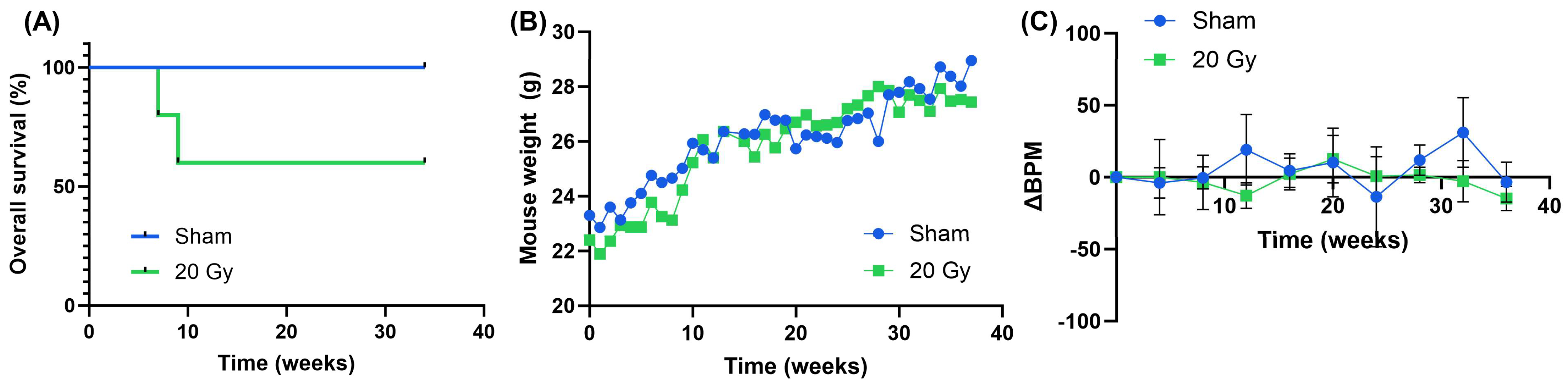 Bioengineering 11 00182 g002 Bioengineering 11 00182 g002
