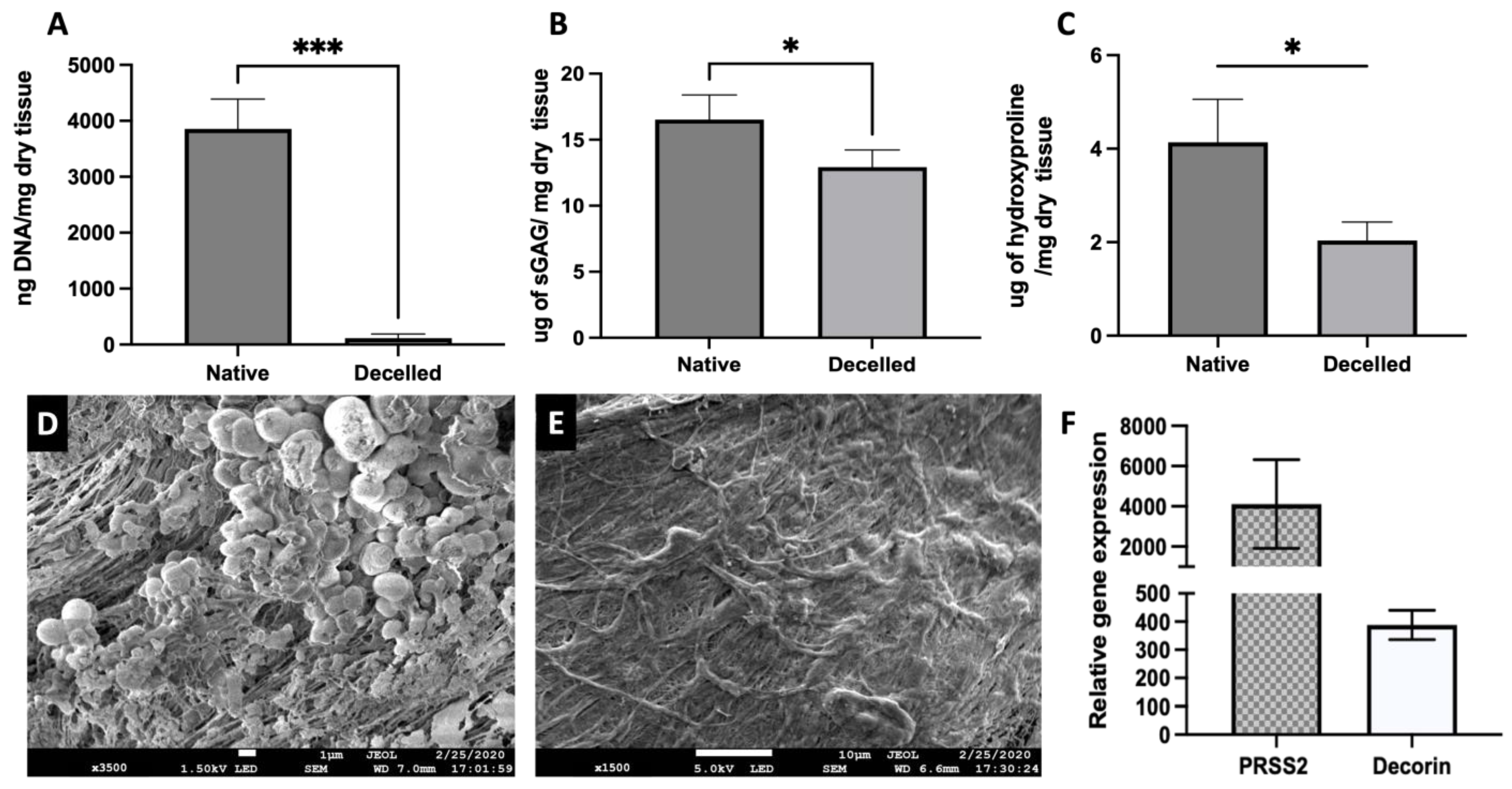 Bioengineering 11 00183 g002