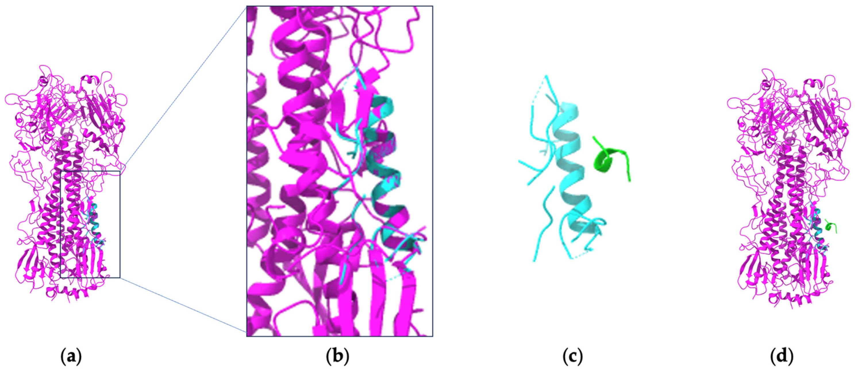 Bioengineering 11 00185 g002