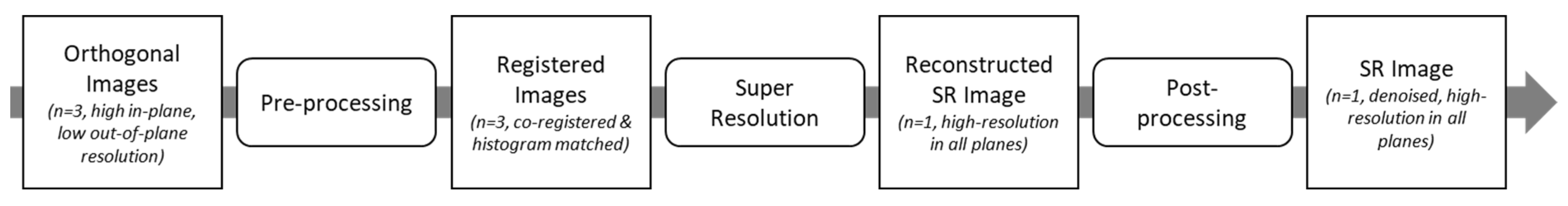 Bioengineering 11 00186 g001