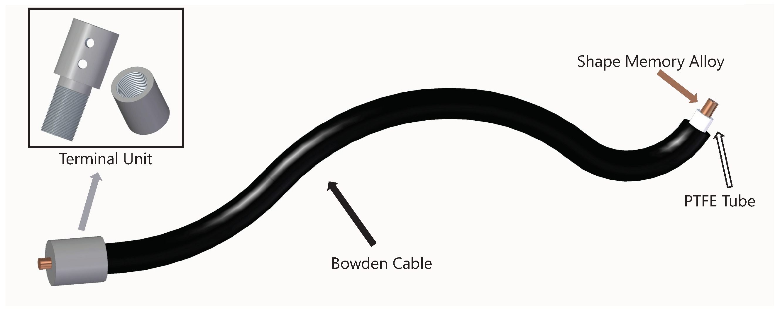Bioengineering 11 00188 g002