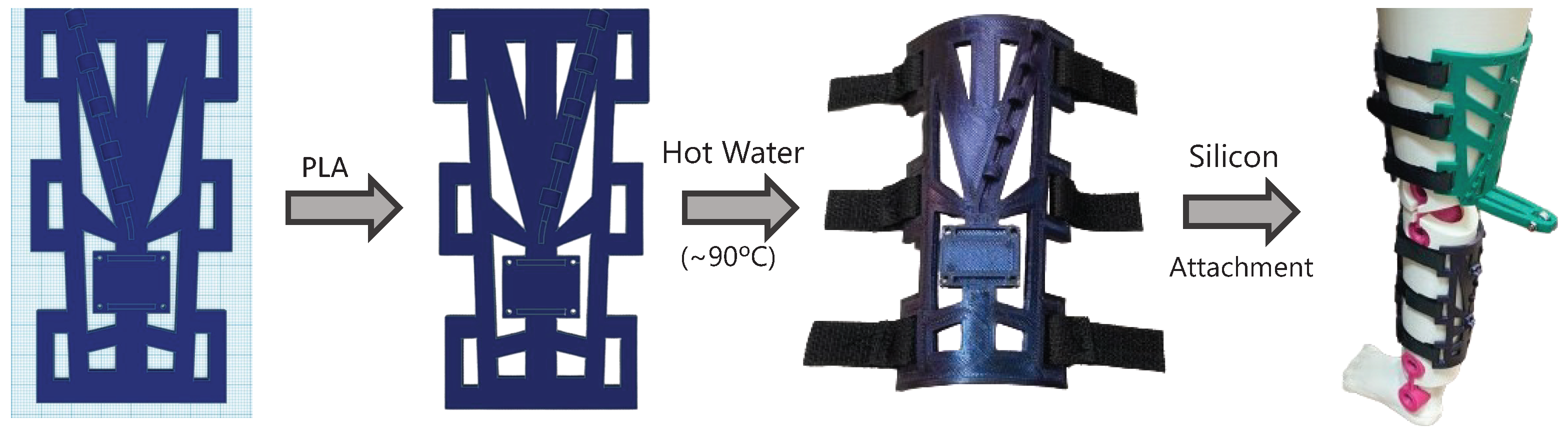 Bioengineering 11 00188 g006