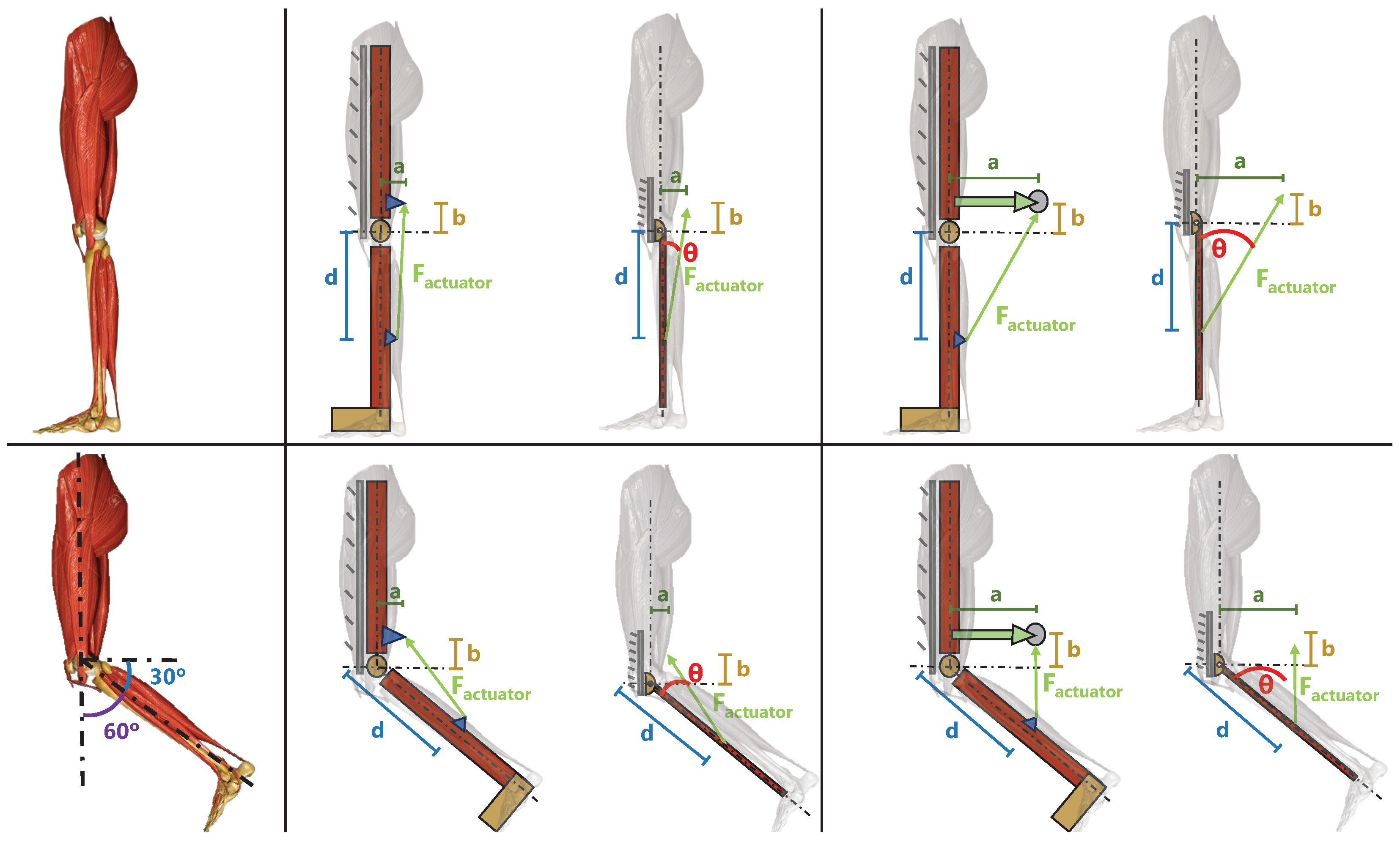 Bioengineering 11 00188 g007