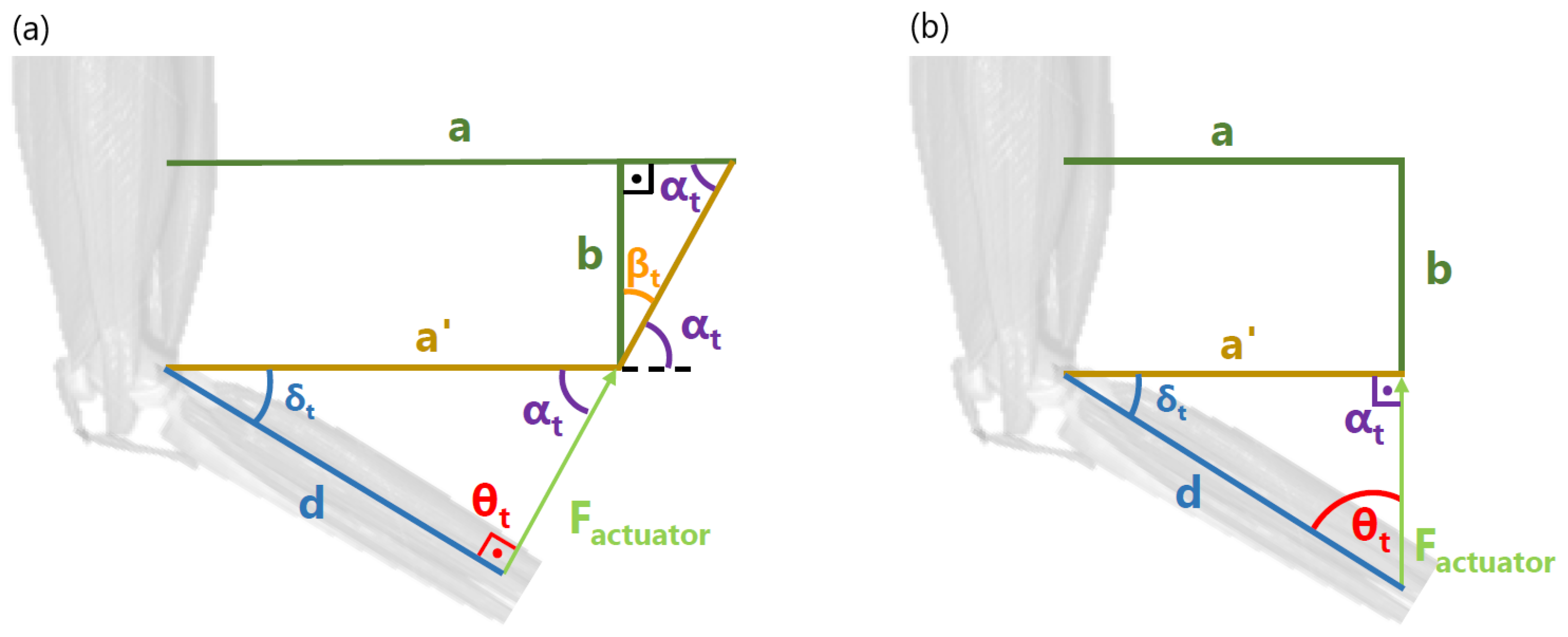Bioengineering 11 00188 g008