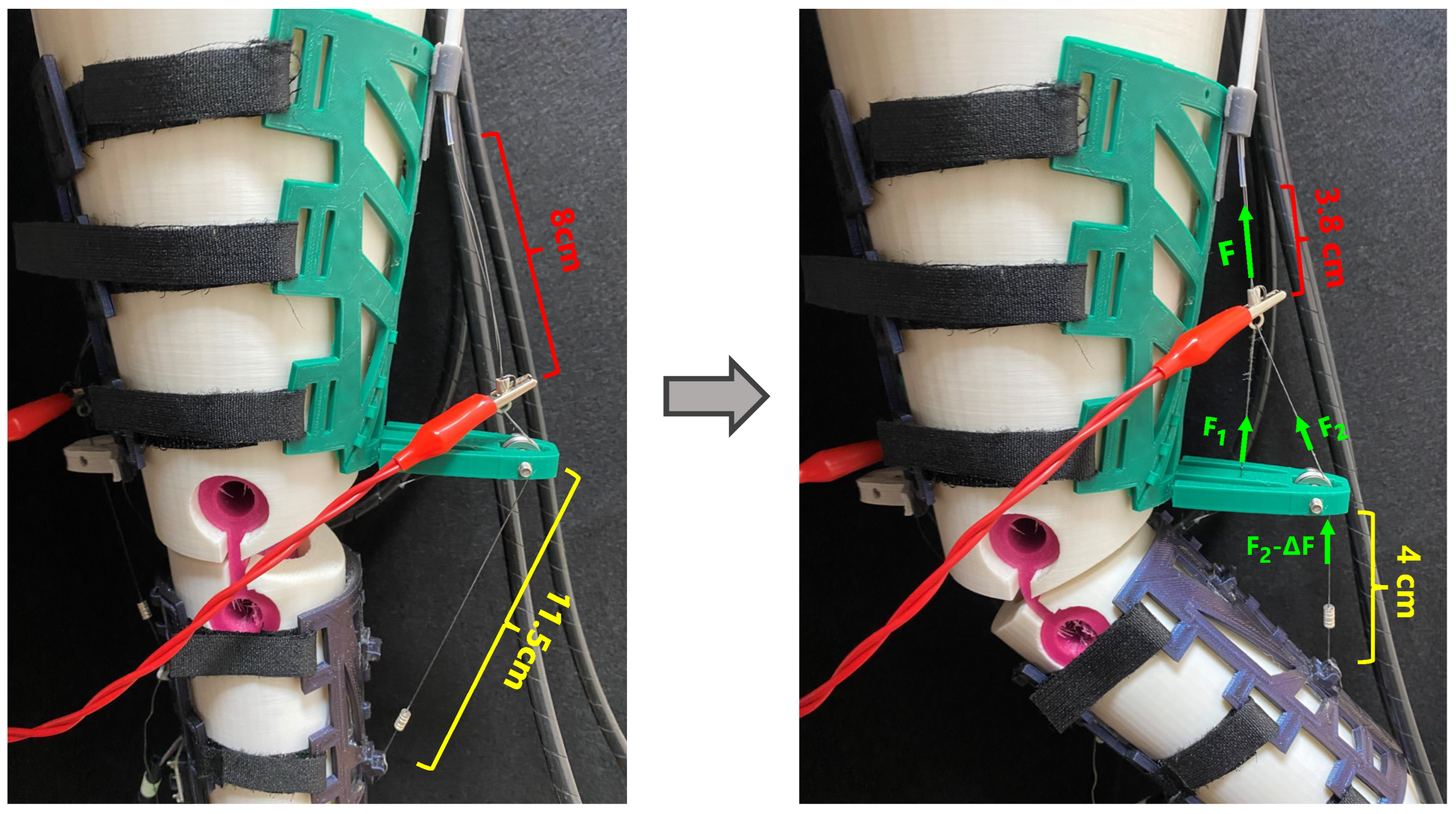 Bioengineering 11 00188 g009
