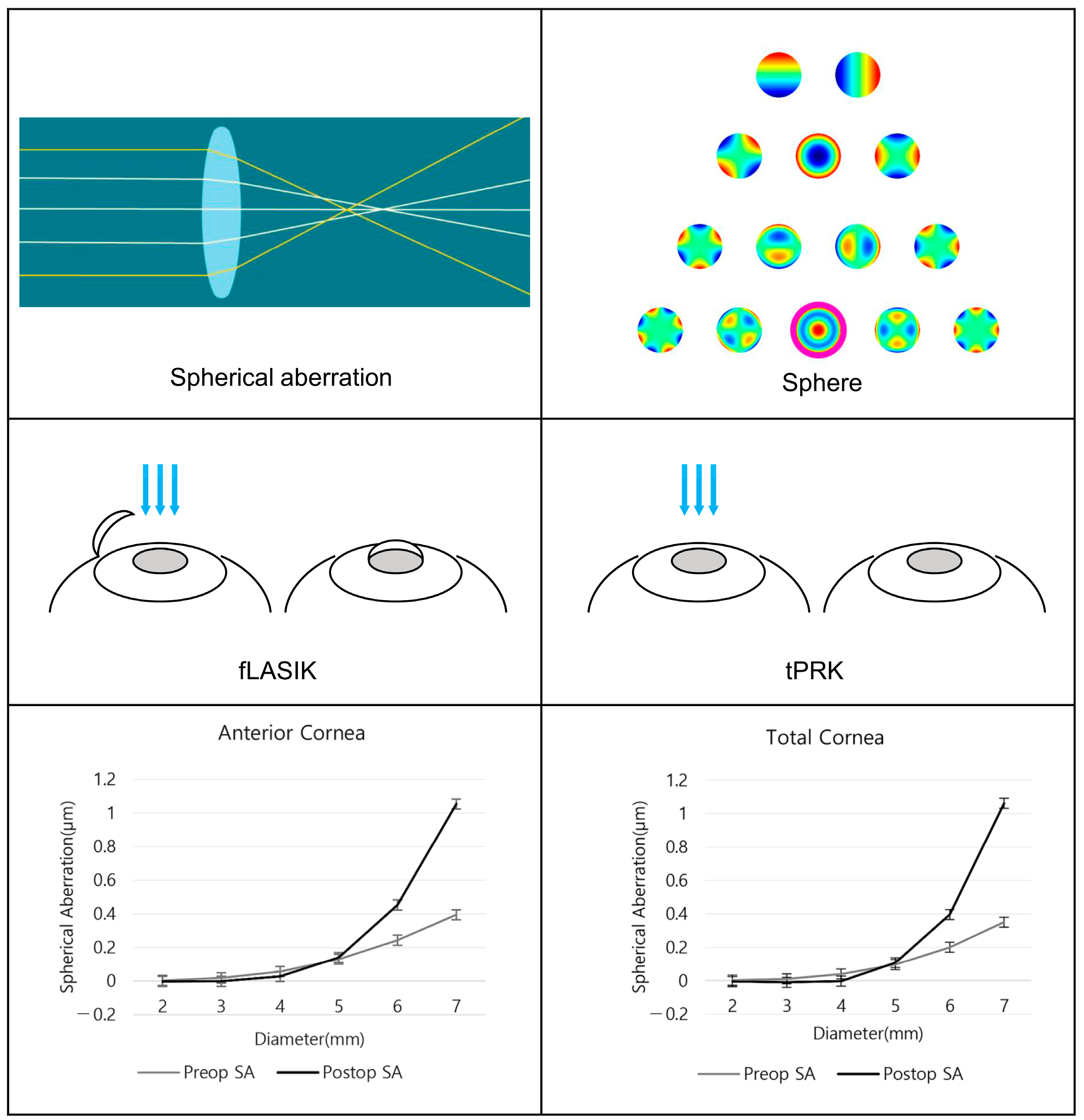 Bioengineering 11 00190 g001