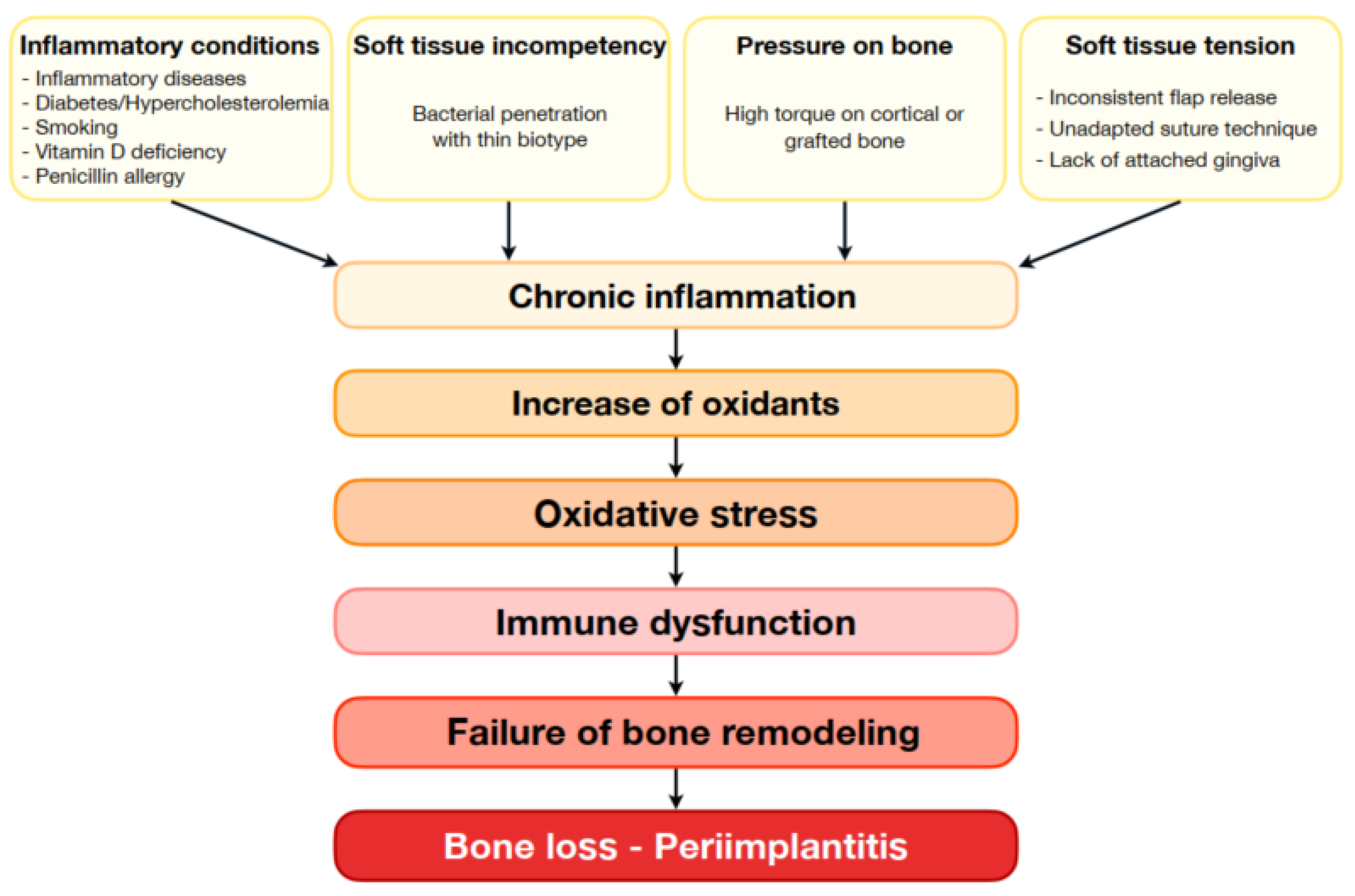 Bioengineering 11 00191 g001