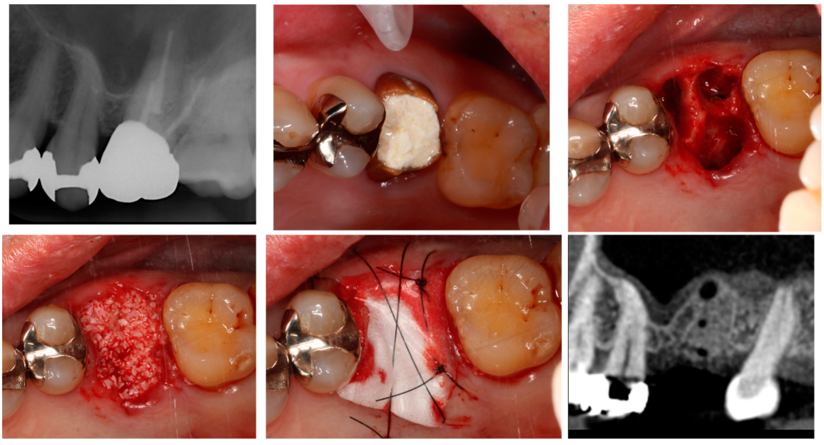 Bioengineering 11 00192 g002