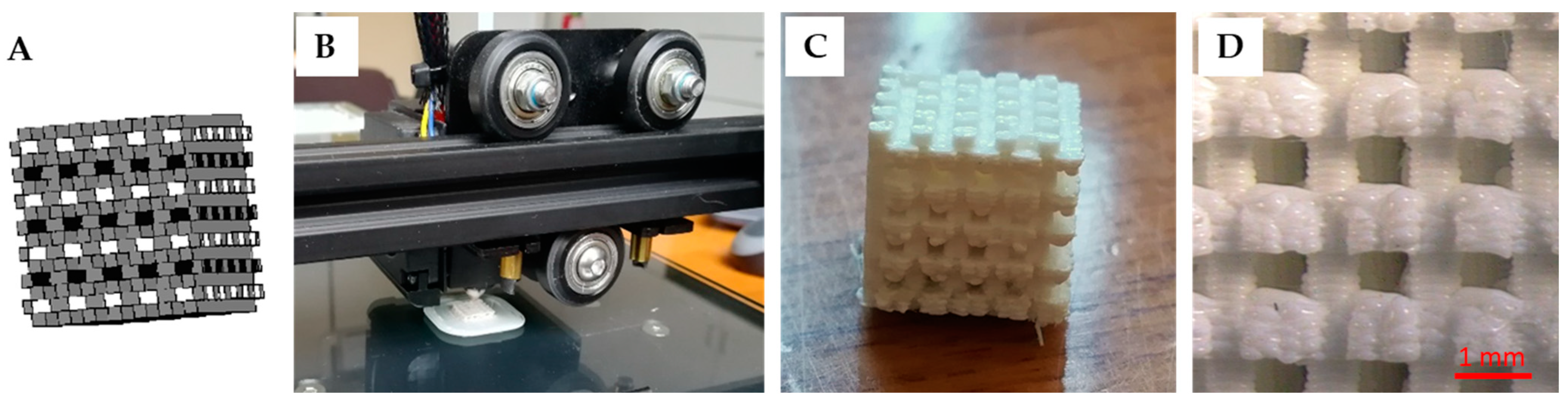 Bioengineering 11 00193 g007