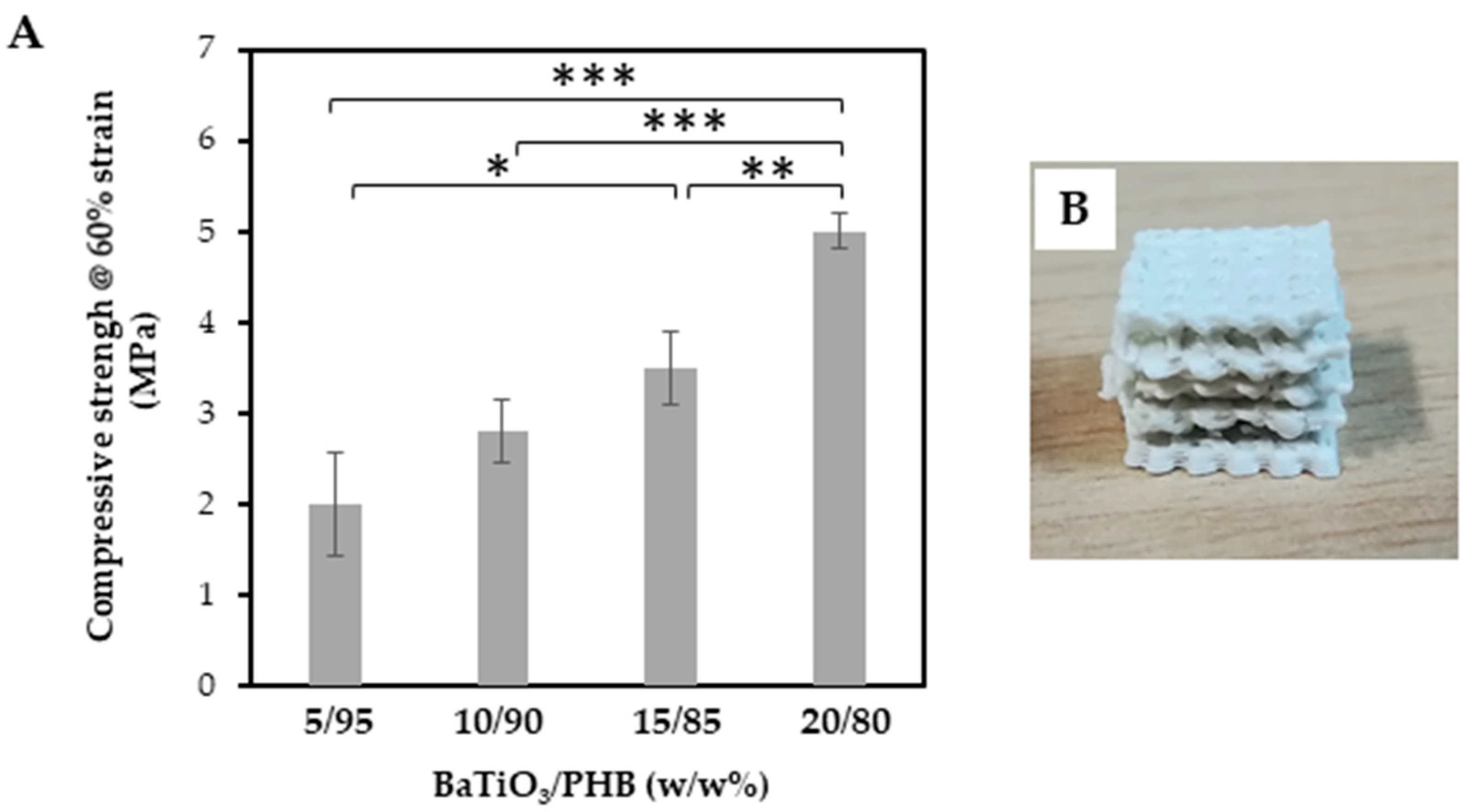 Bioengineering 11 00193 g008