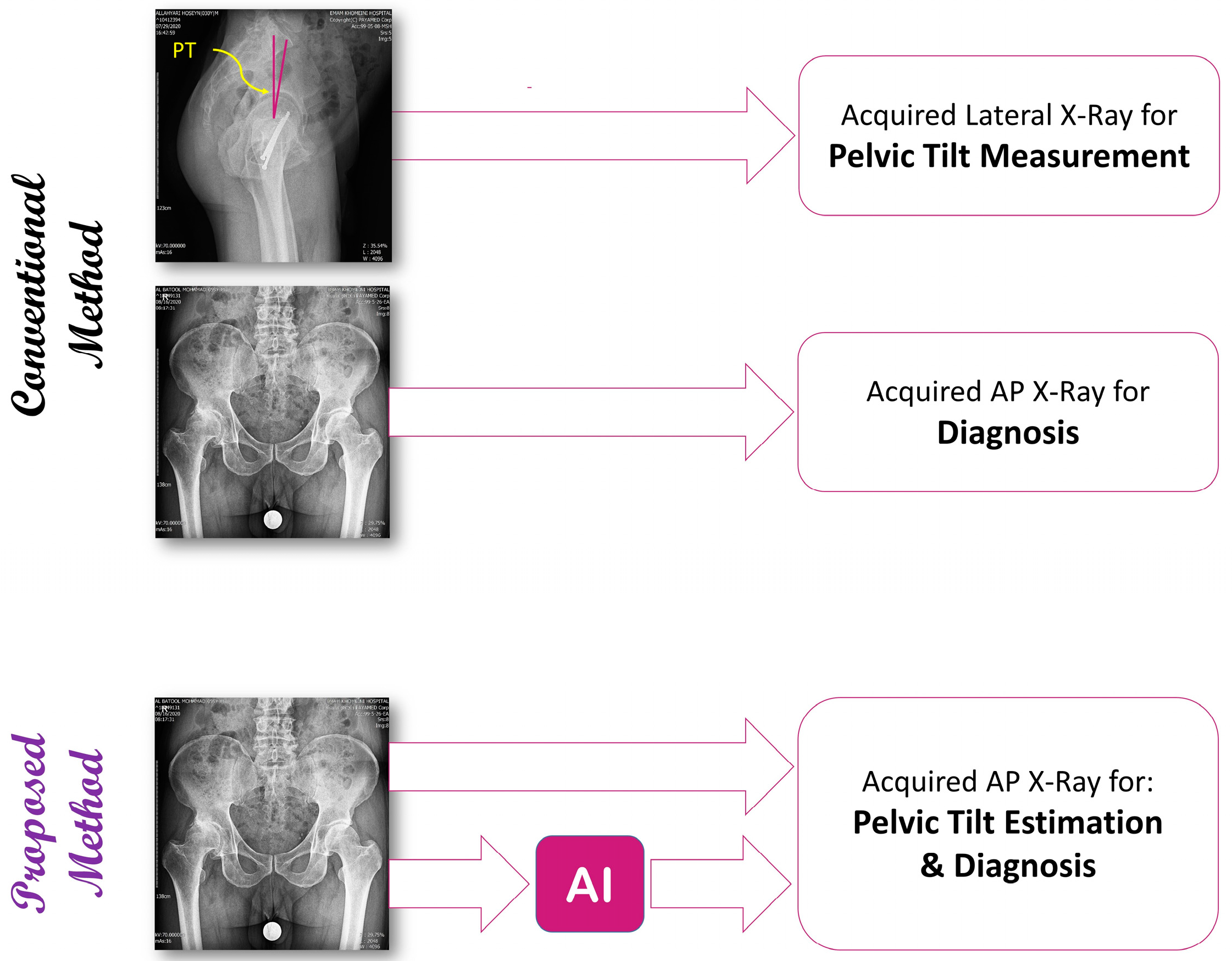 Bioengineering 11 00194 g001