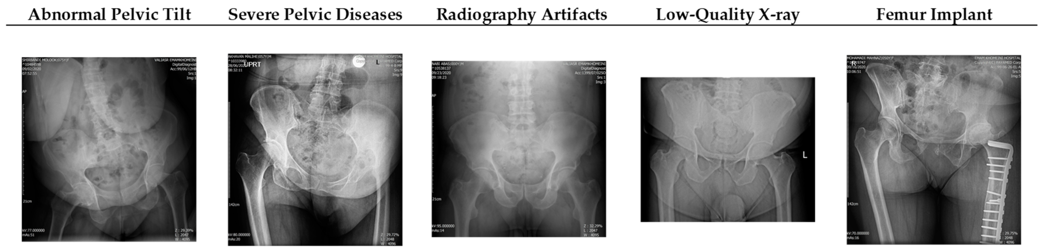Bioengineering 11 00194 g007