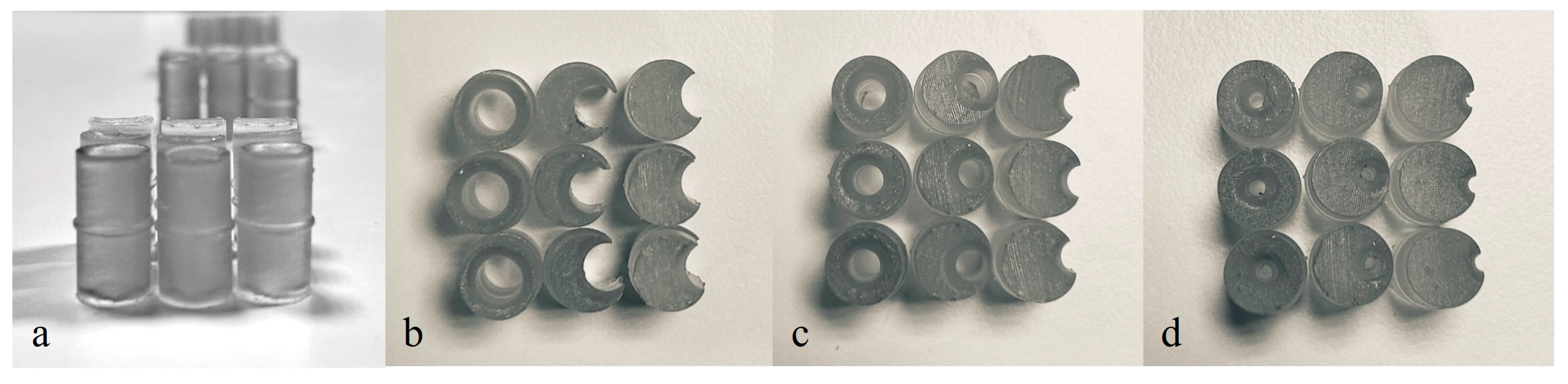 Bioengineering 11 00197 g004