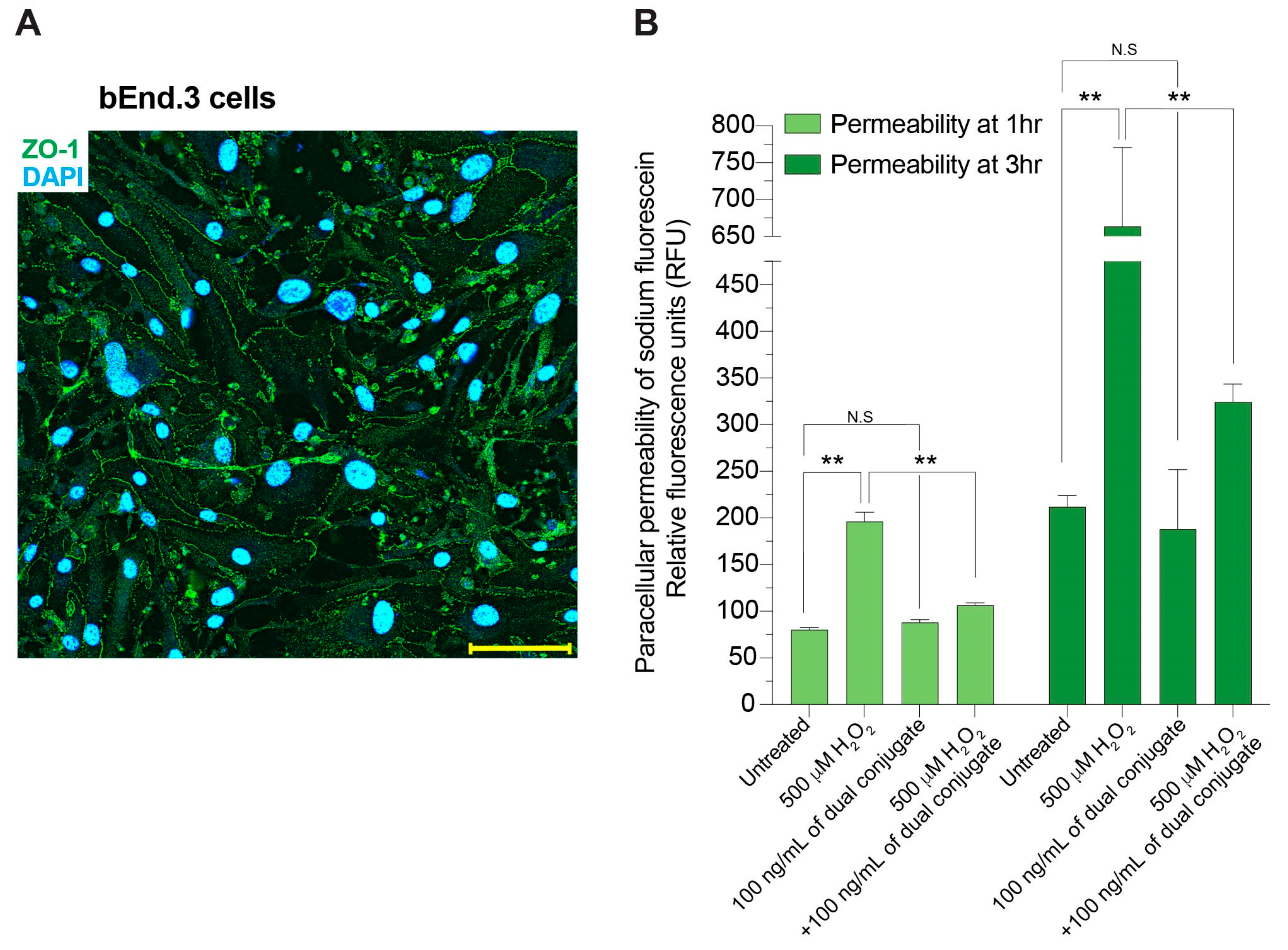 Bioengineering 11 00200 g003