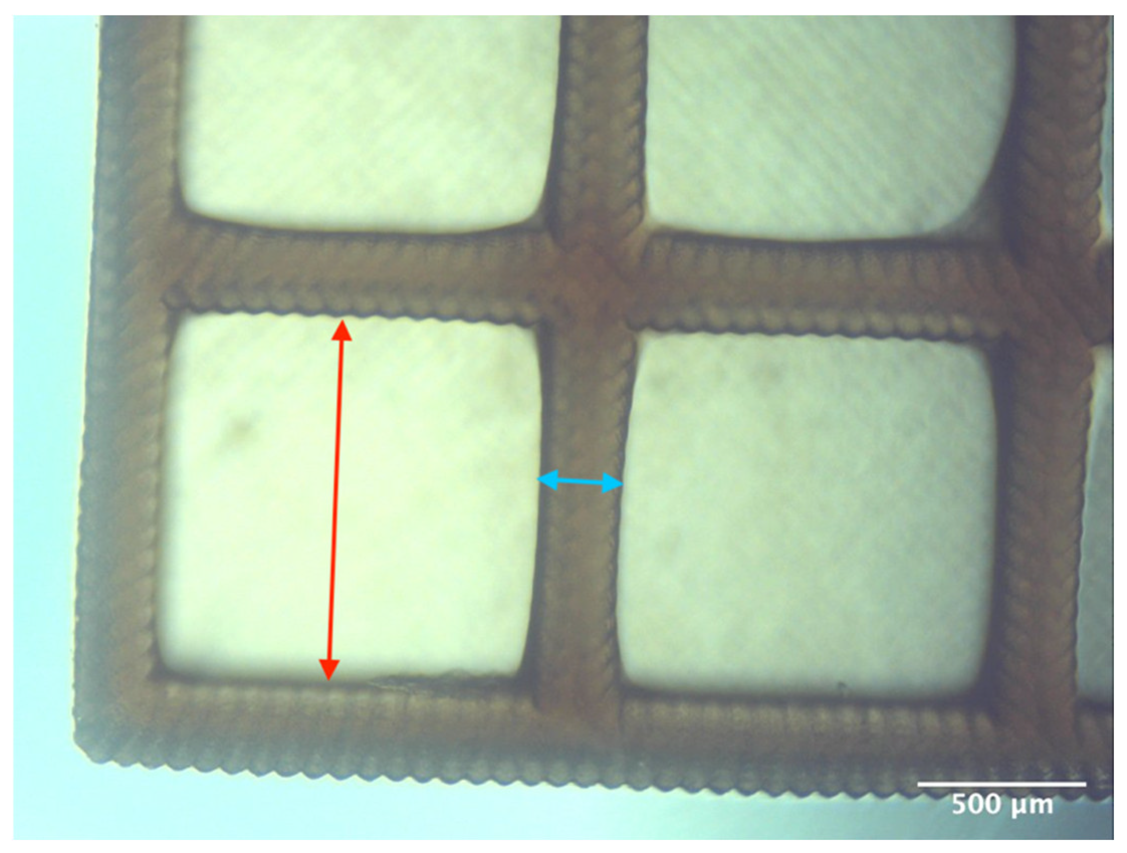 Bioengineering 11 00202 g002