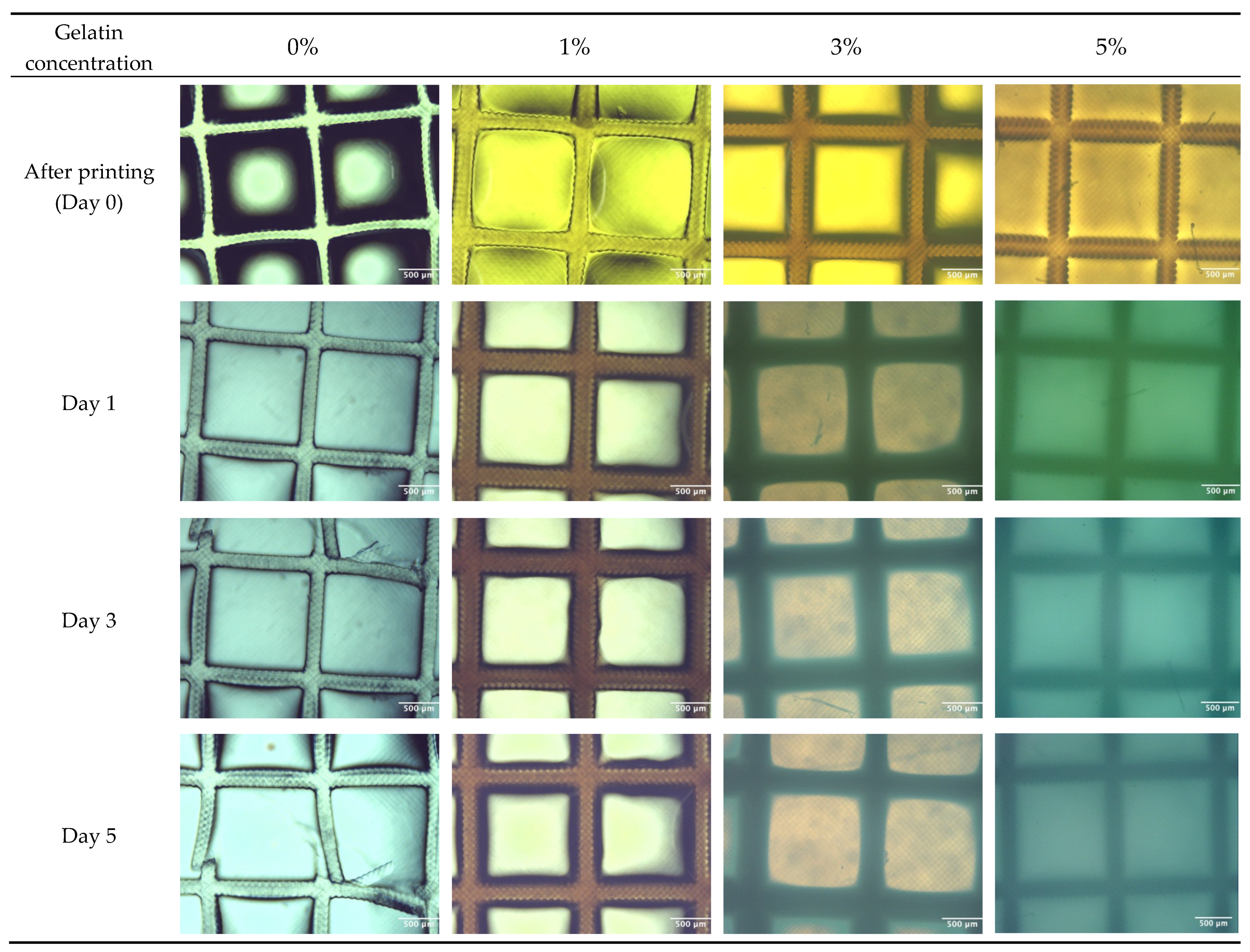 Bioengineering 11 00202 g011