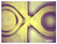 Bioengineering 11 00202 i003