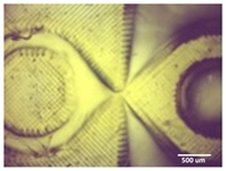 Bioengineering 11 00202 i007