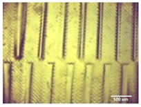 Bioengineering 11 00202 i008