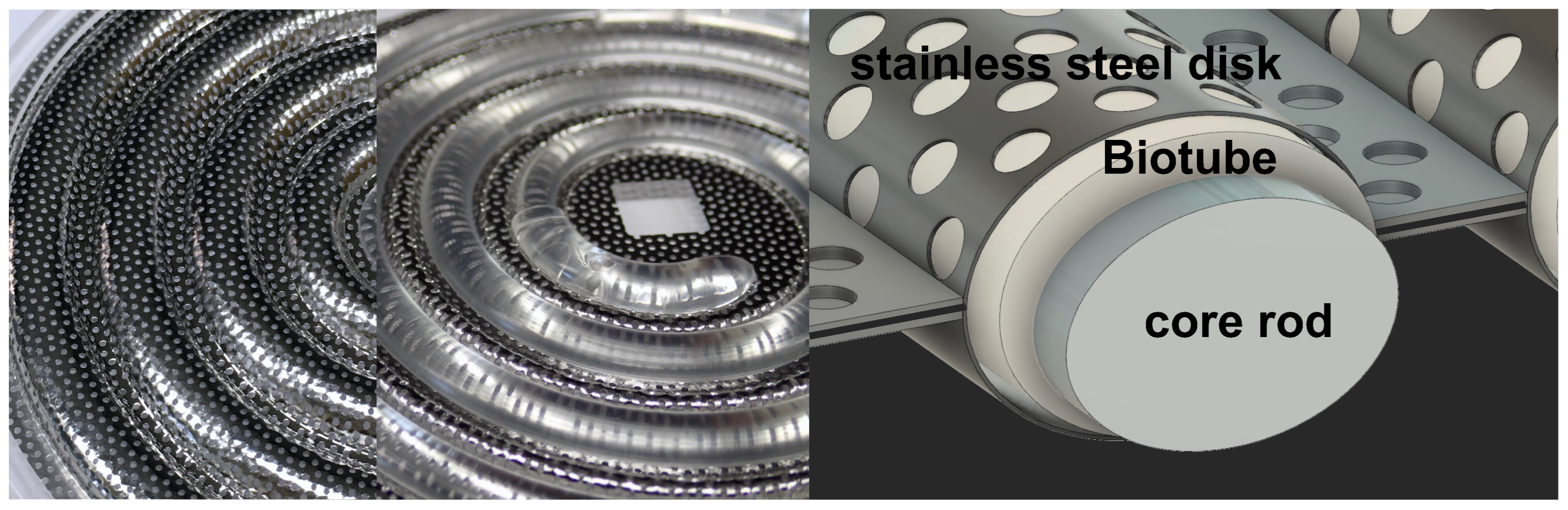 Bioengineering 11 00203 g001