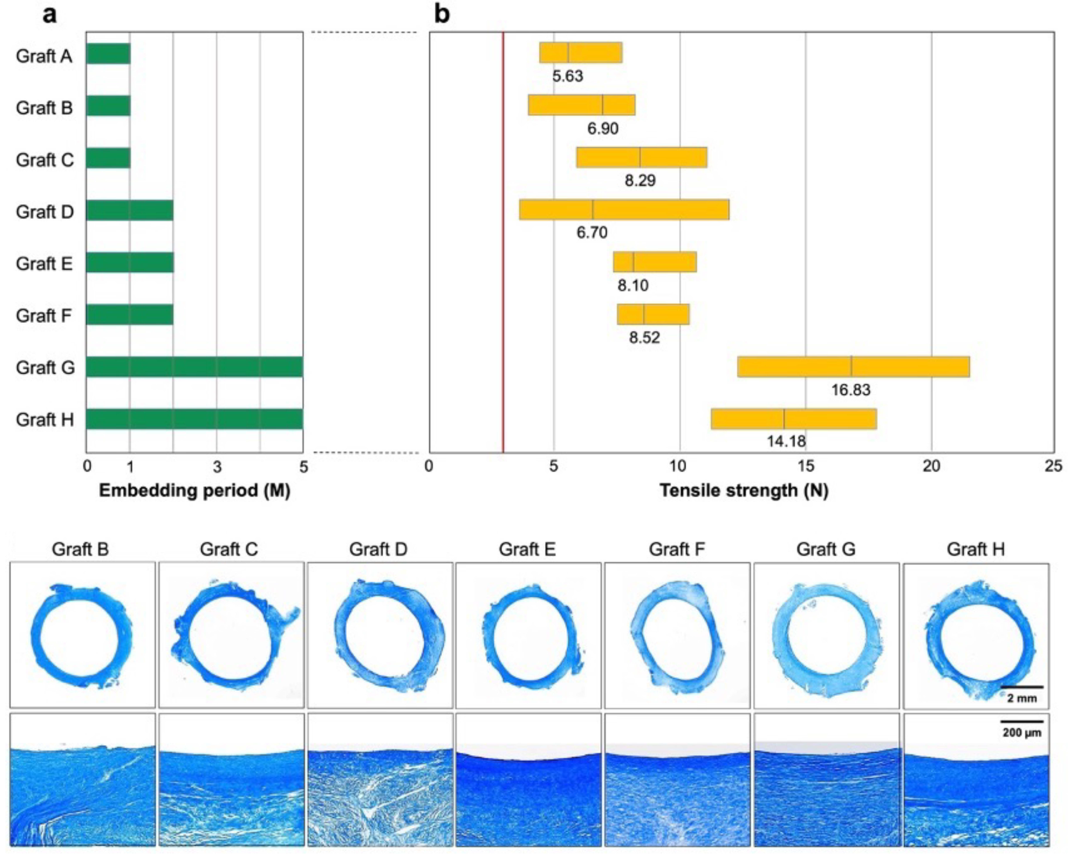 Bioengineering 11 00203 g003