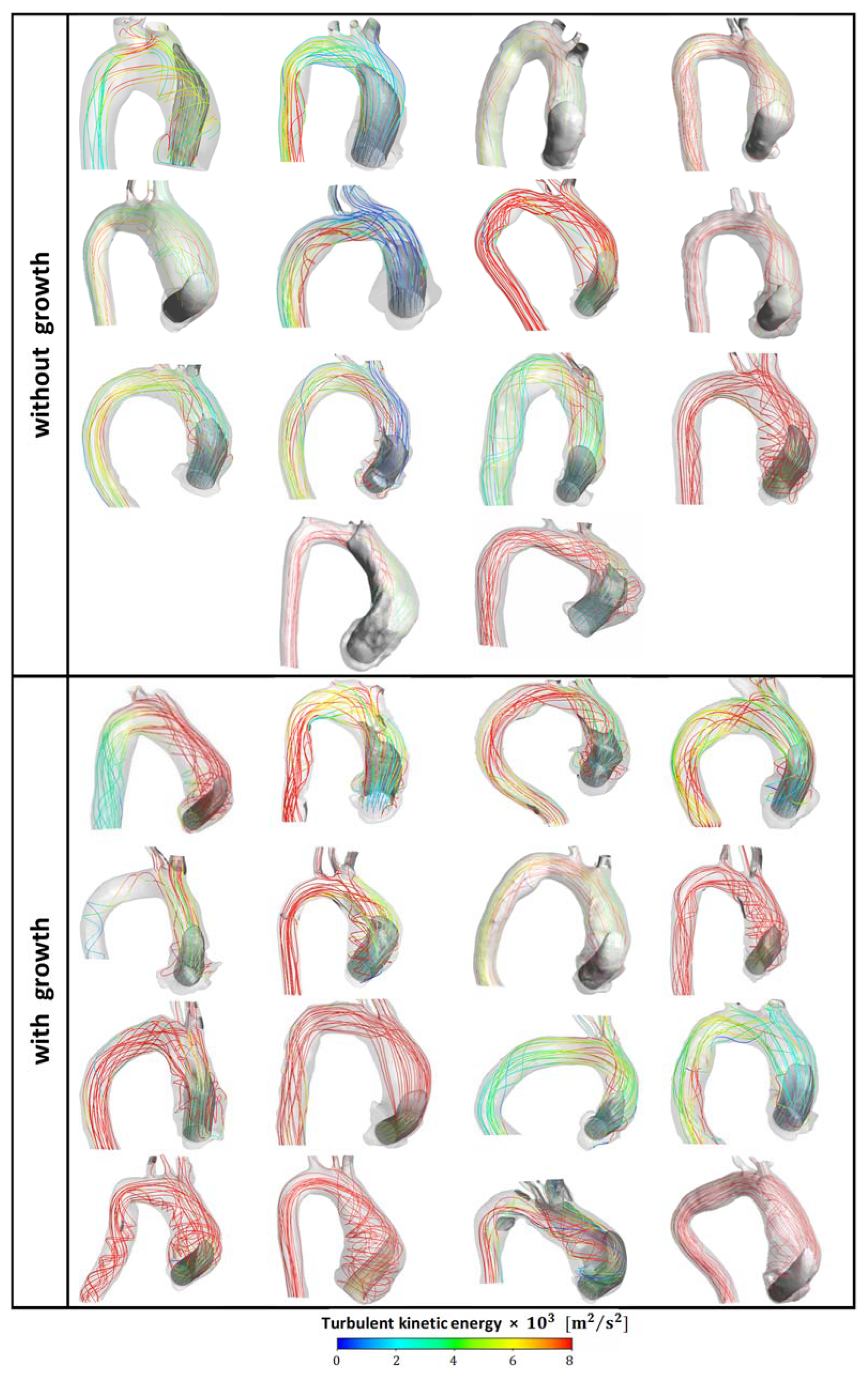 Bioengineering 11 00204 g003