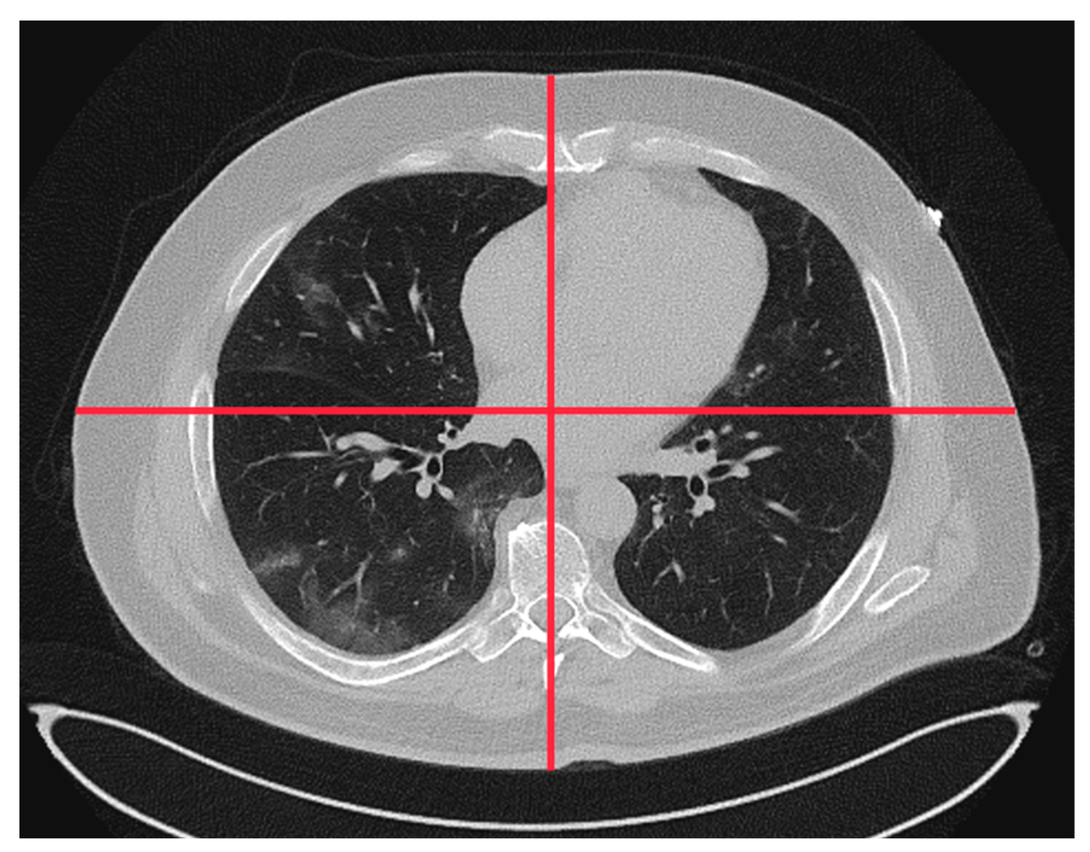 Bioengineering 11 00207 g001