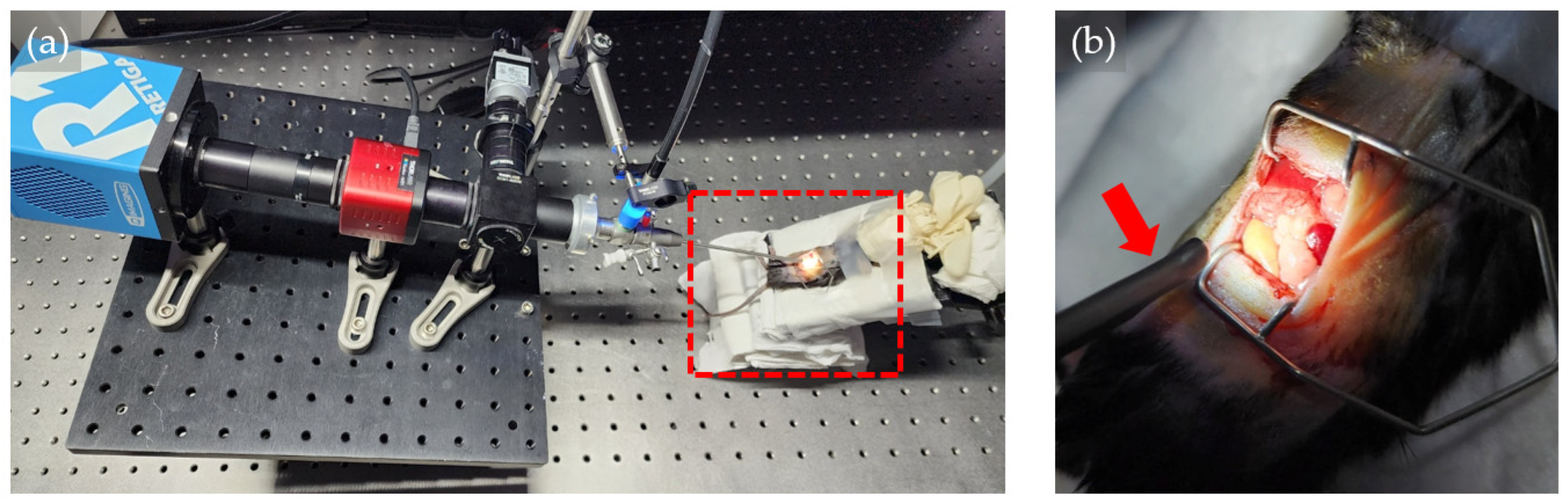 Bioengineering 11 00208 g004