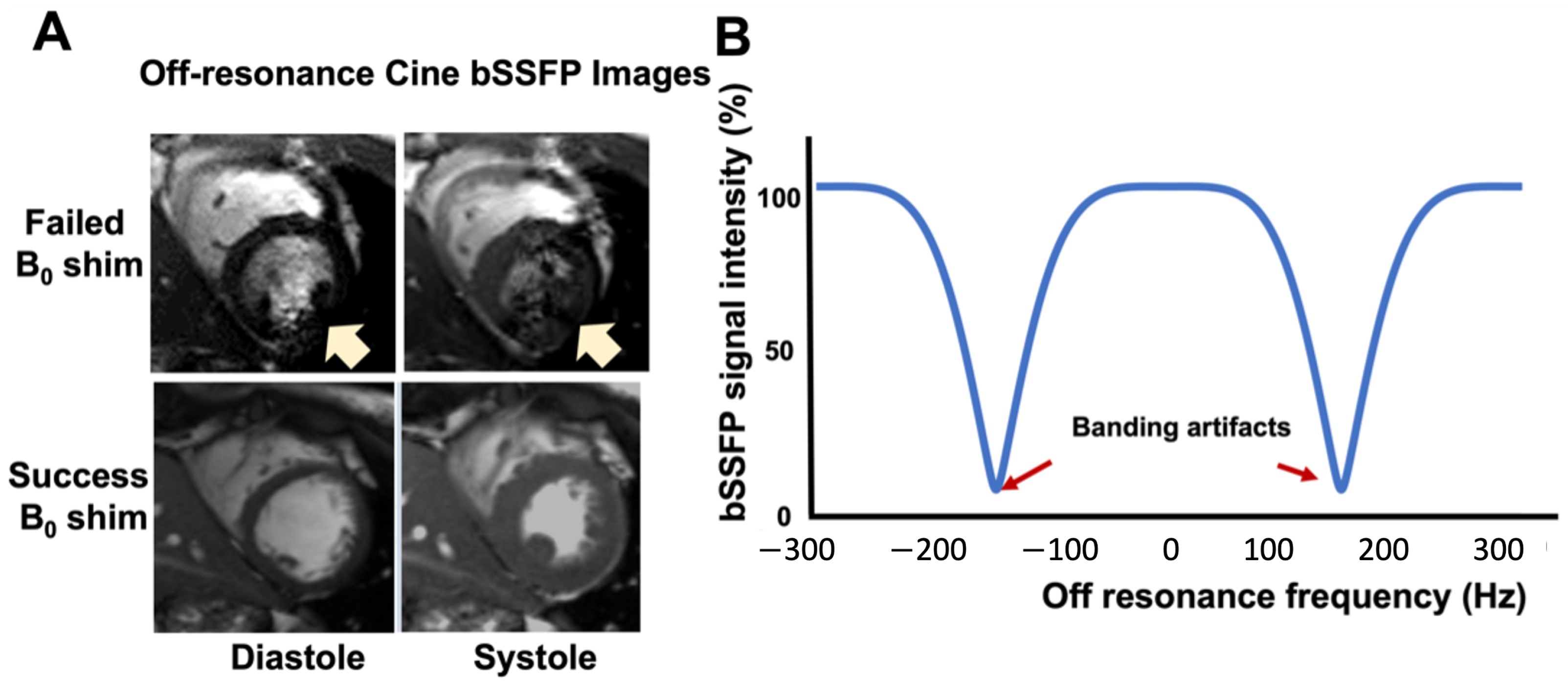Bioengineering 11 00210 g001