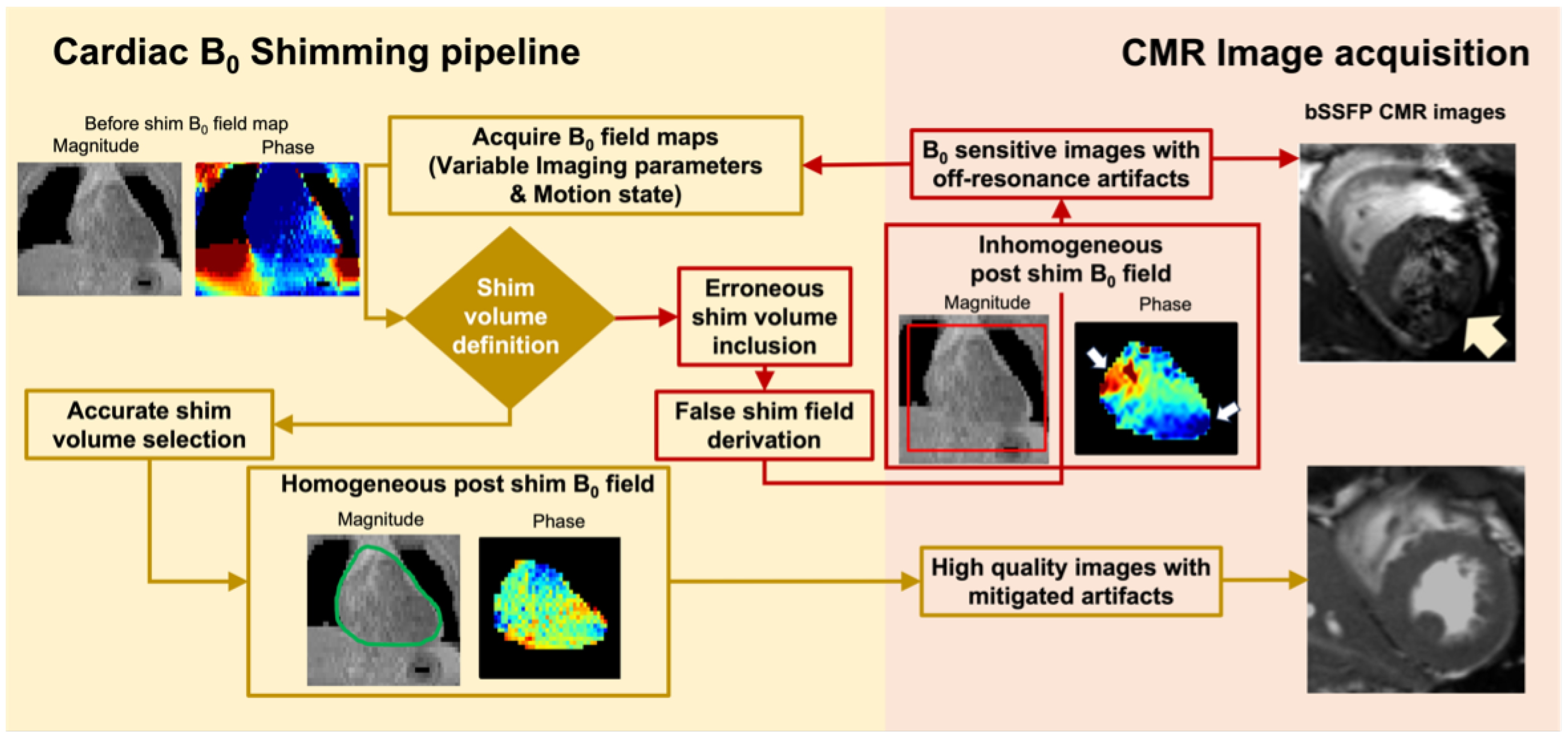 Bioengineering 11 00210 g002