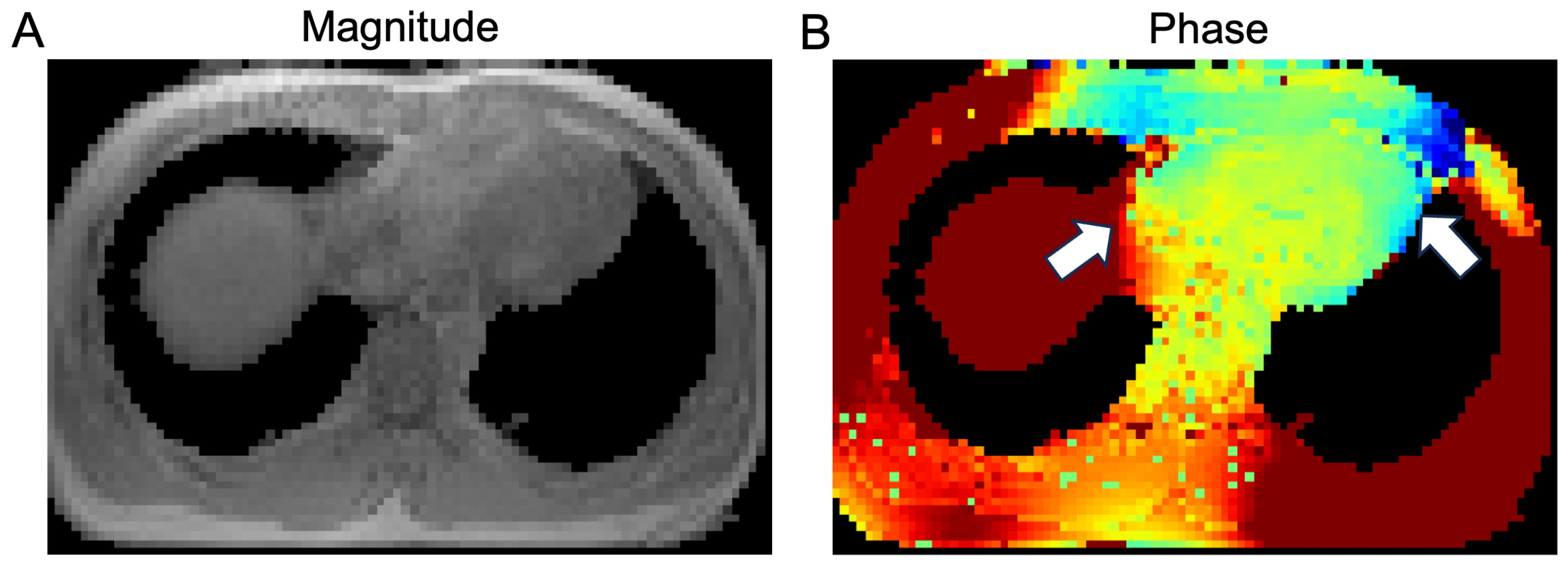 Bioengineering 11 00210 g003