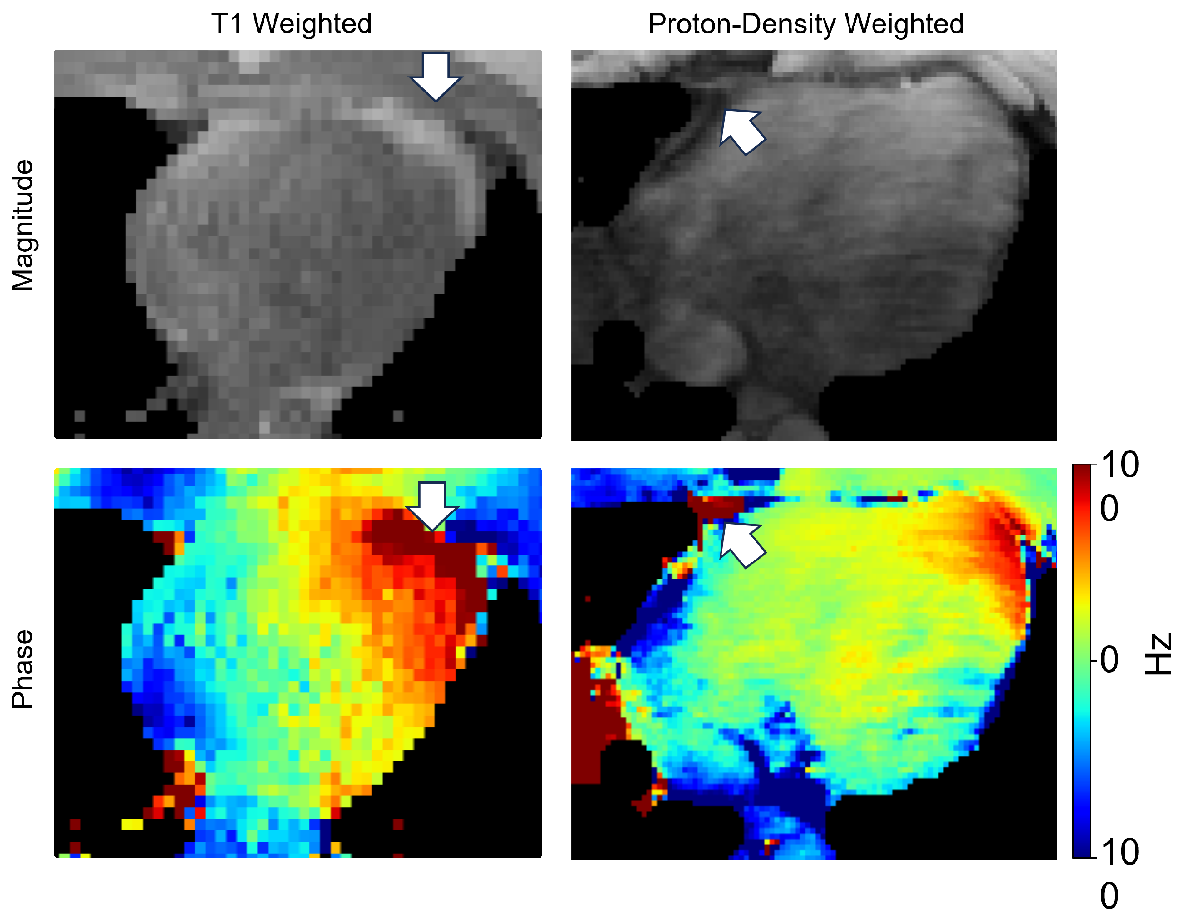 Bioengineering 11 00210 g012