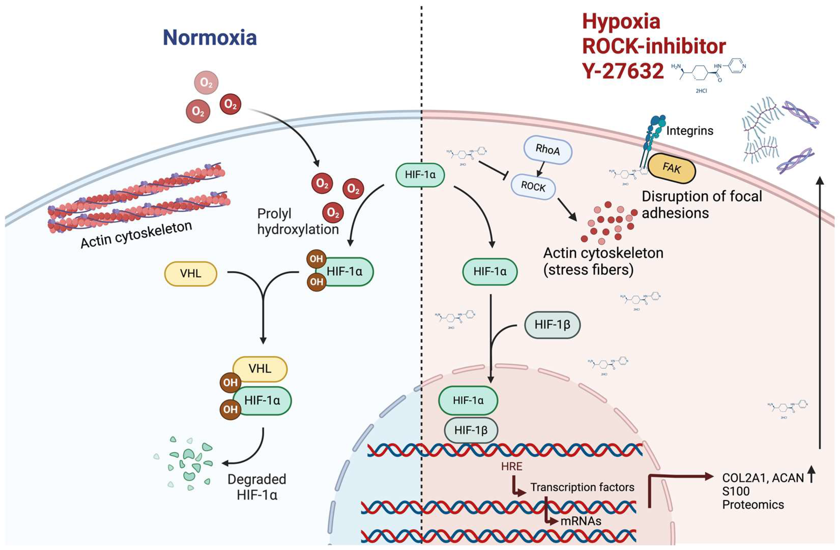 Bioengineering 11 00211 g002