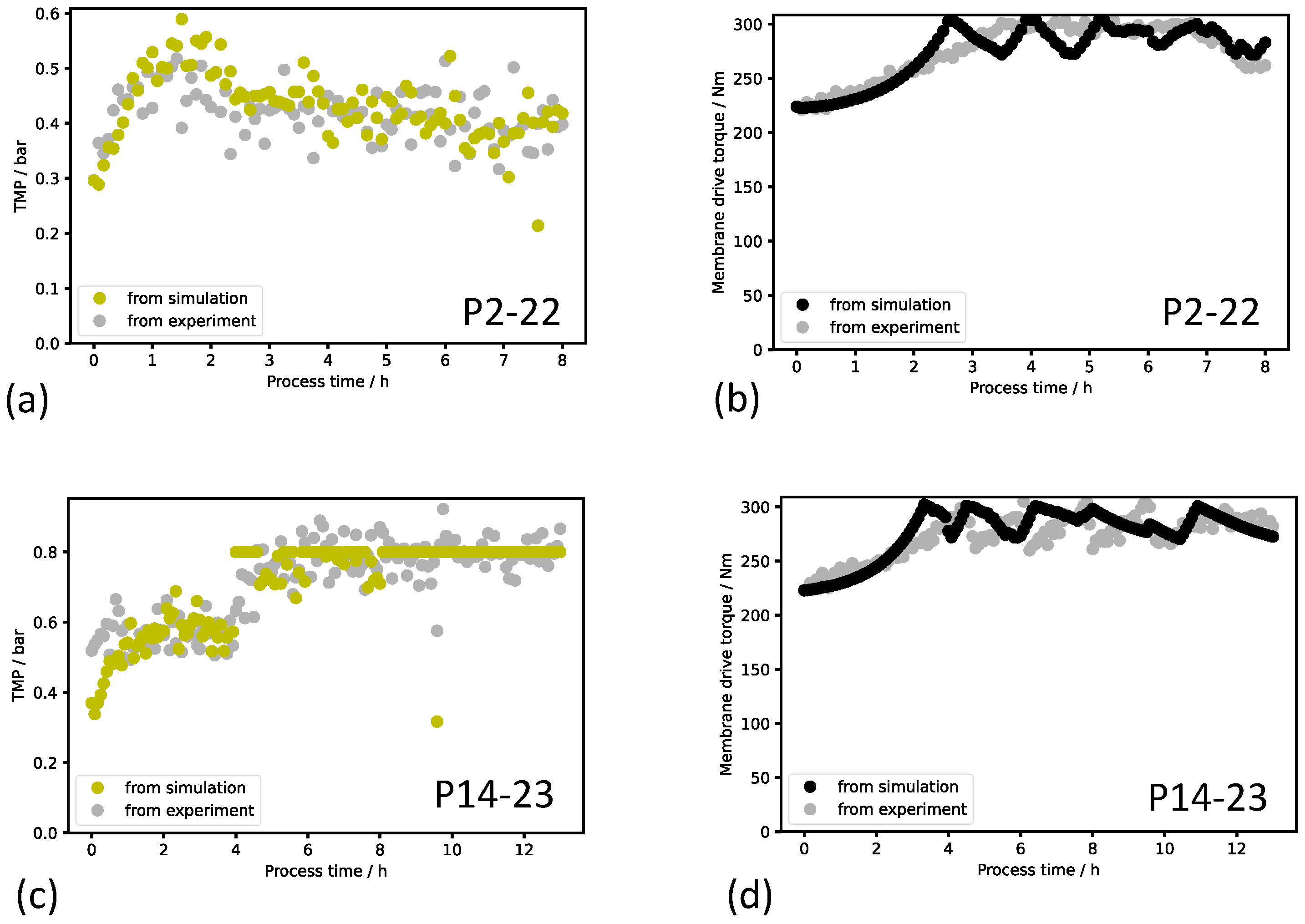 Bioengineering 11 00212 g004