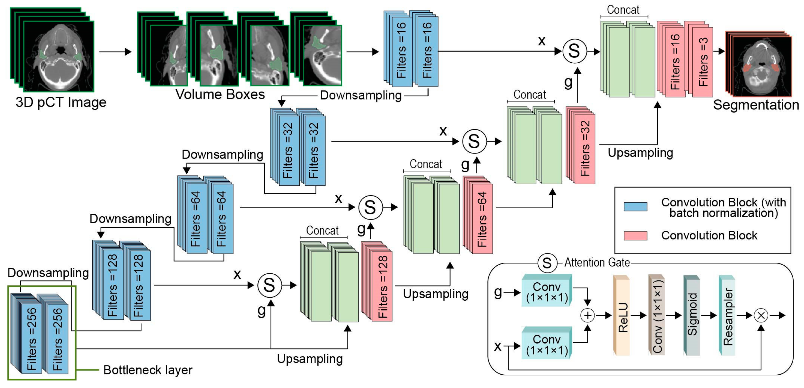 Bioengineering 11 00214 g001