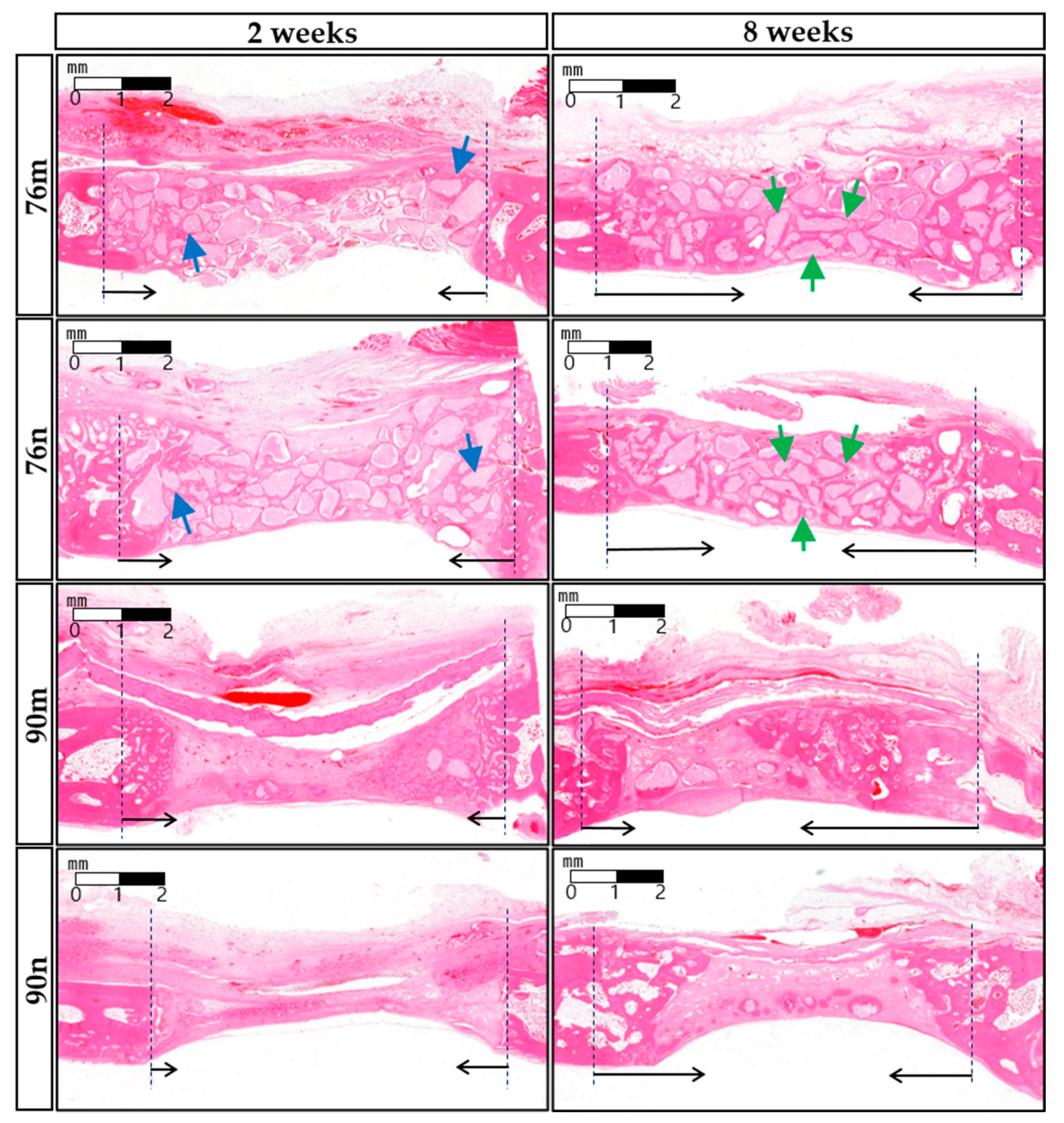Bioengineering 11 00215 g006